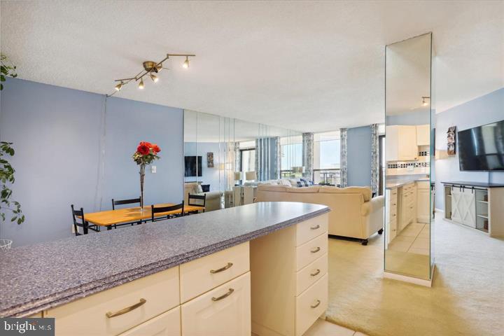 THE RIDGELY - Residential