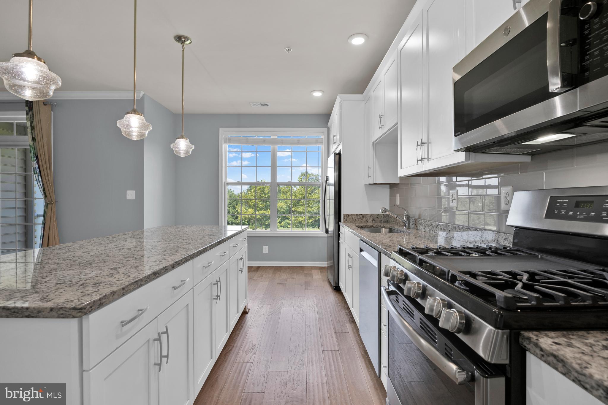 RIDGES AT LOUDOUN VALLEY - Residential