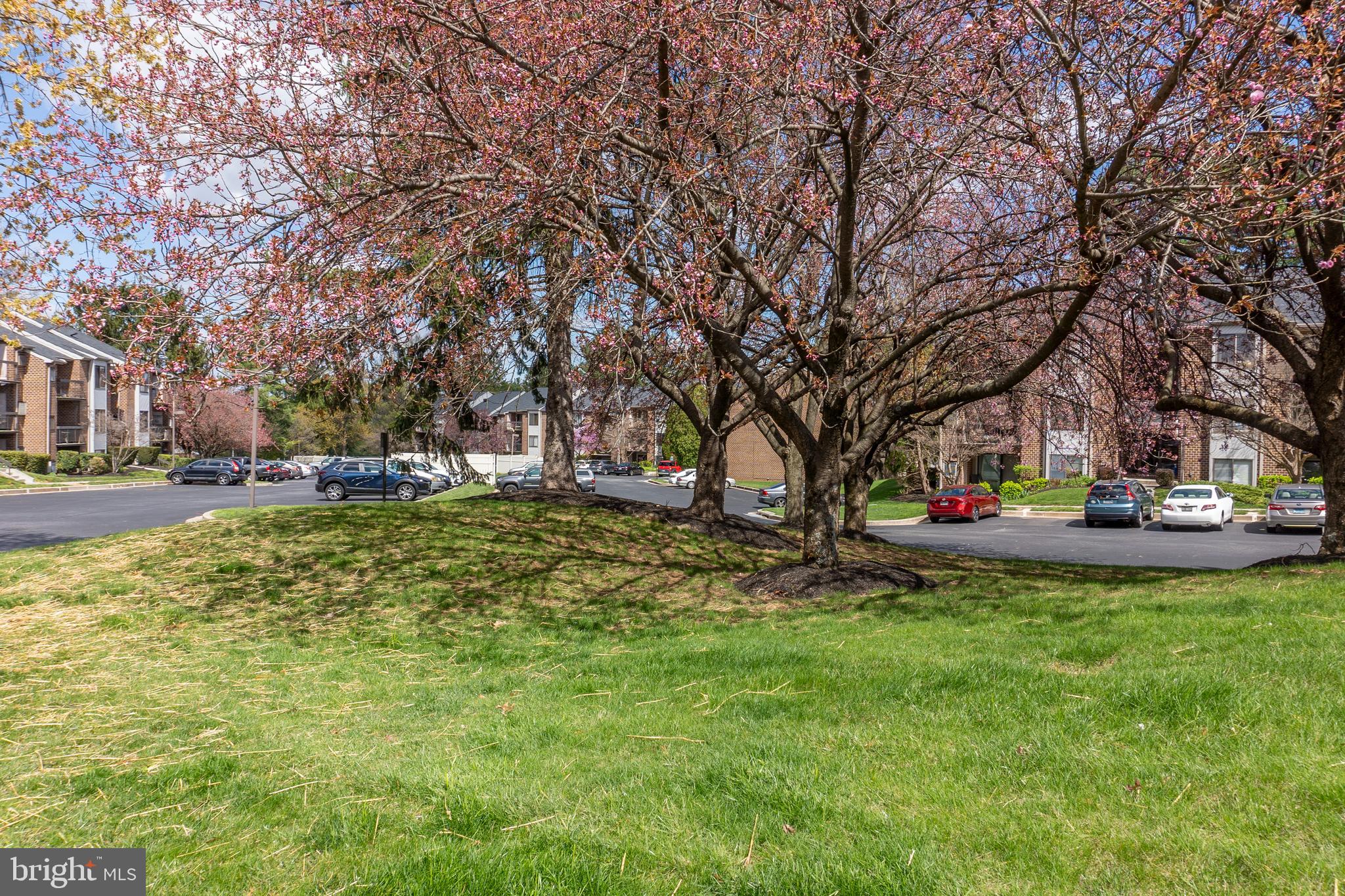 MAYS CHAPEL VILLAGE - Residential