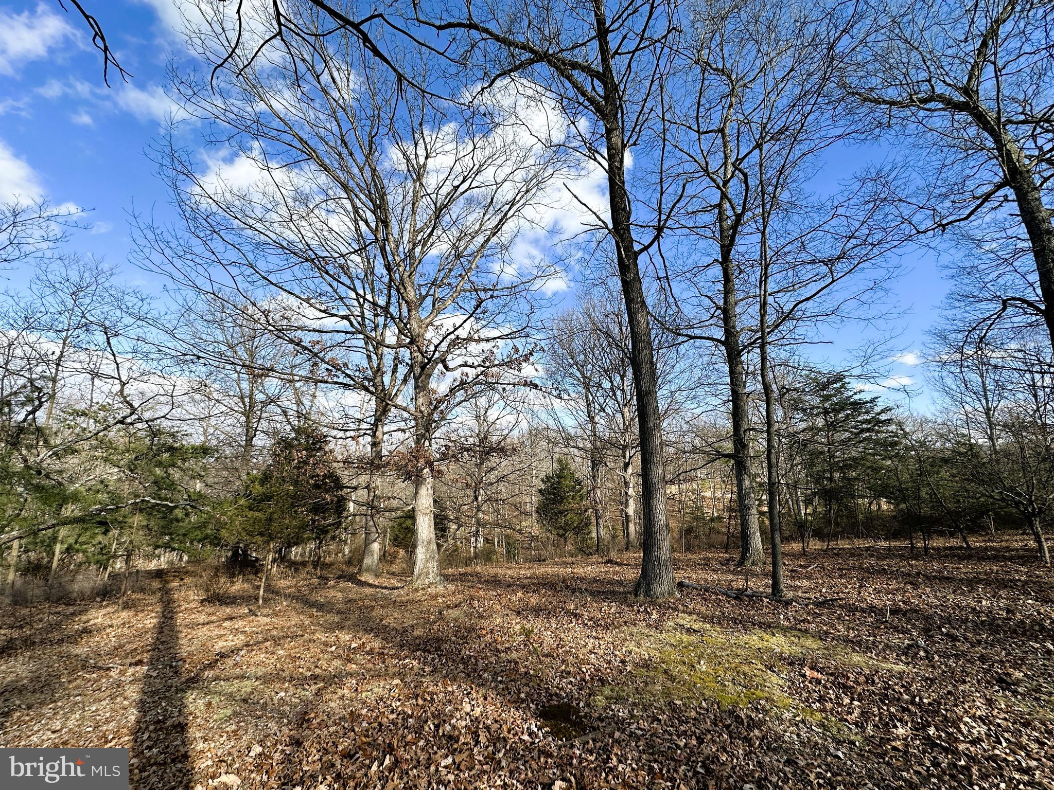 BLUFFS ON THE POTOMAC - Land