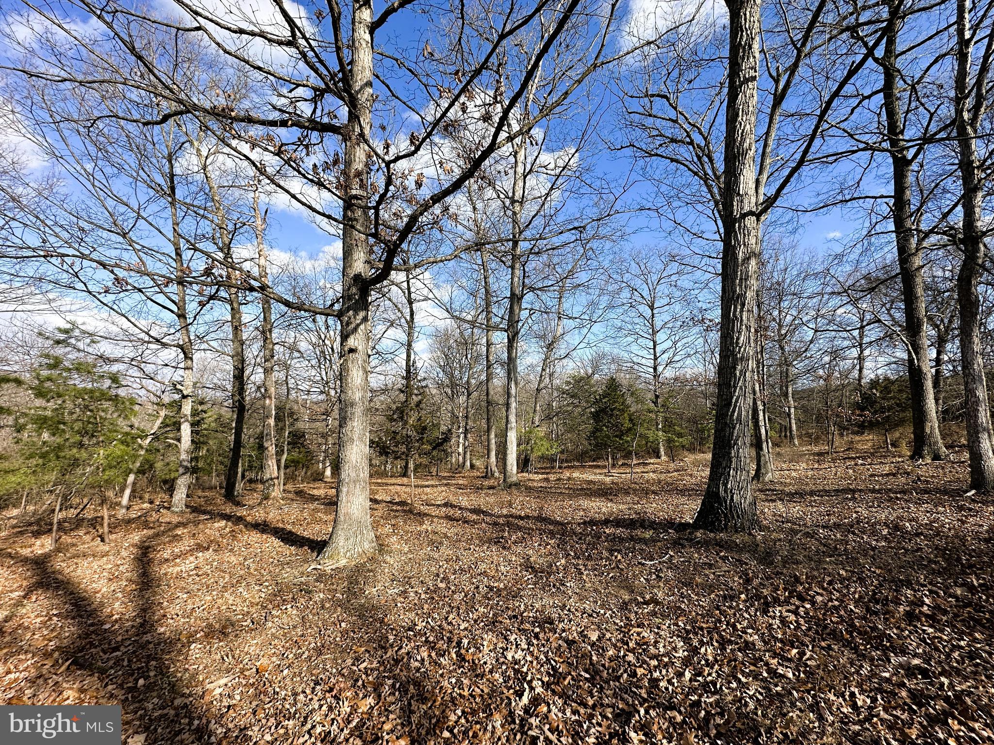 BLUFFS ON THE POTOMAC - Land