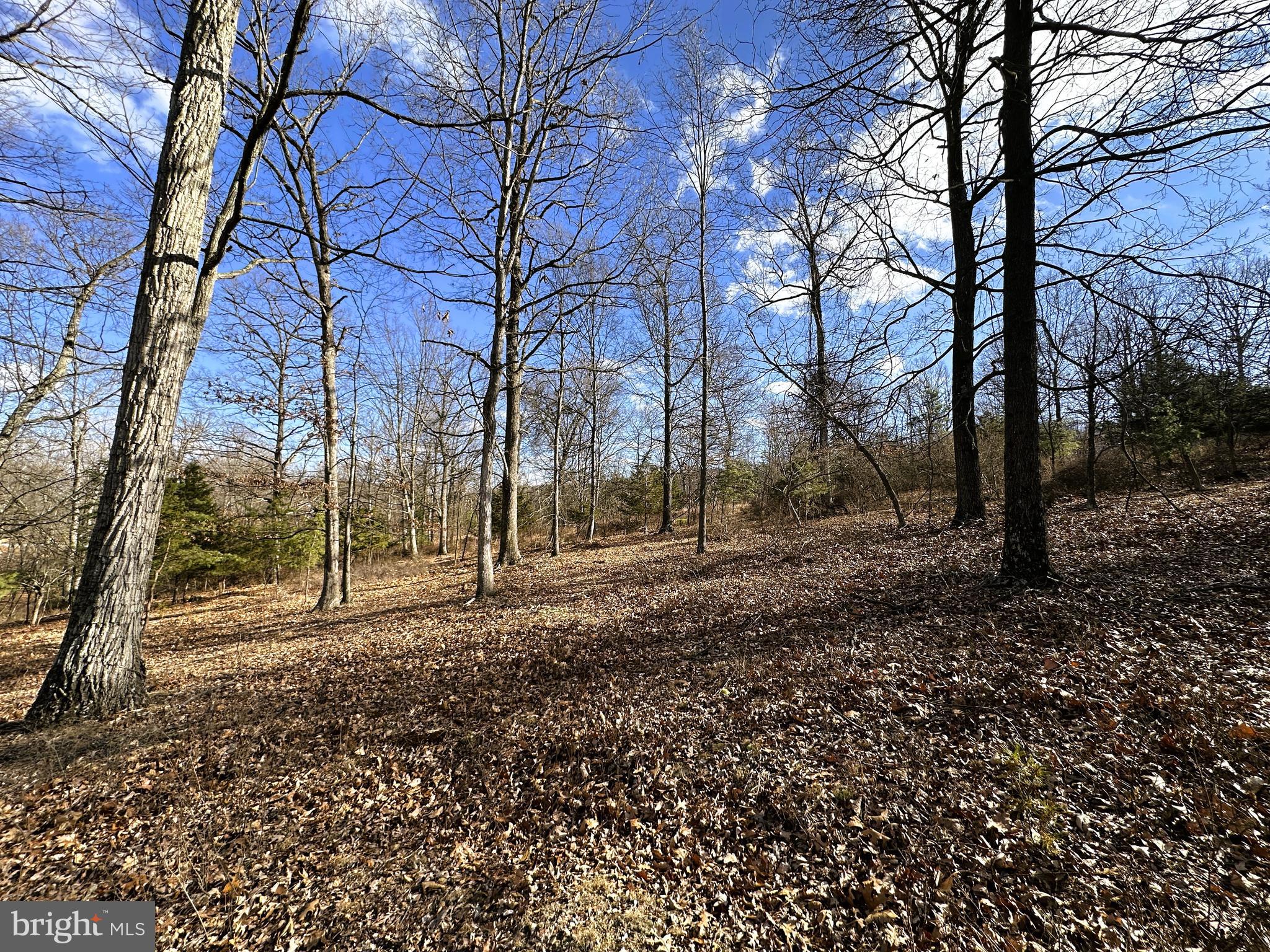 BLUFFS ON THE POTOMAC - Land