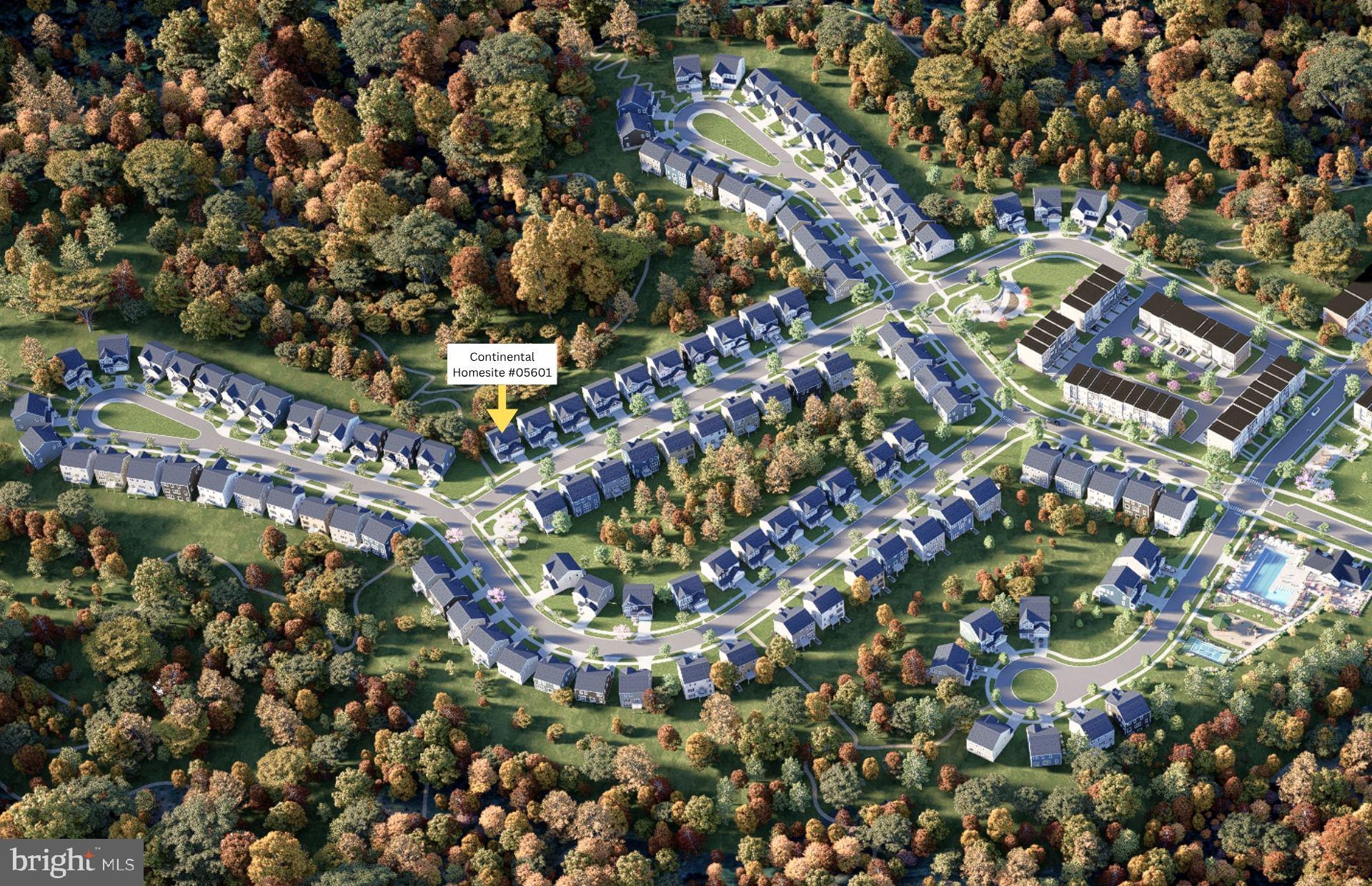 CABIN BRANCH - Residential
