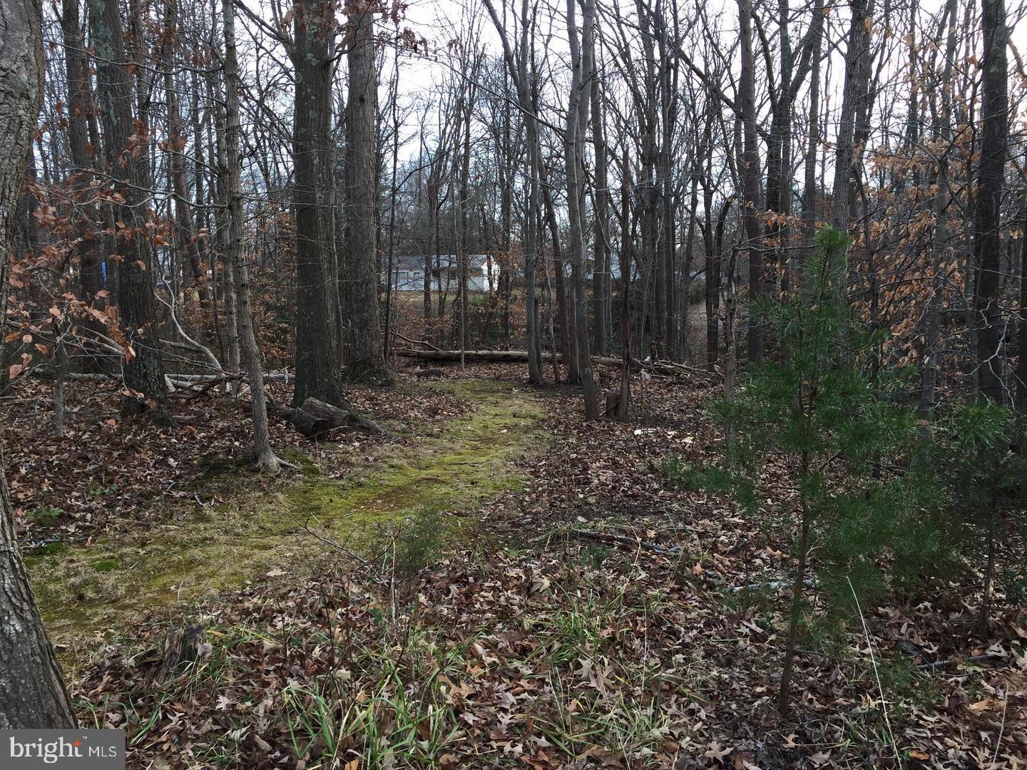 GUNSTON HEIGHTS - Land