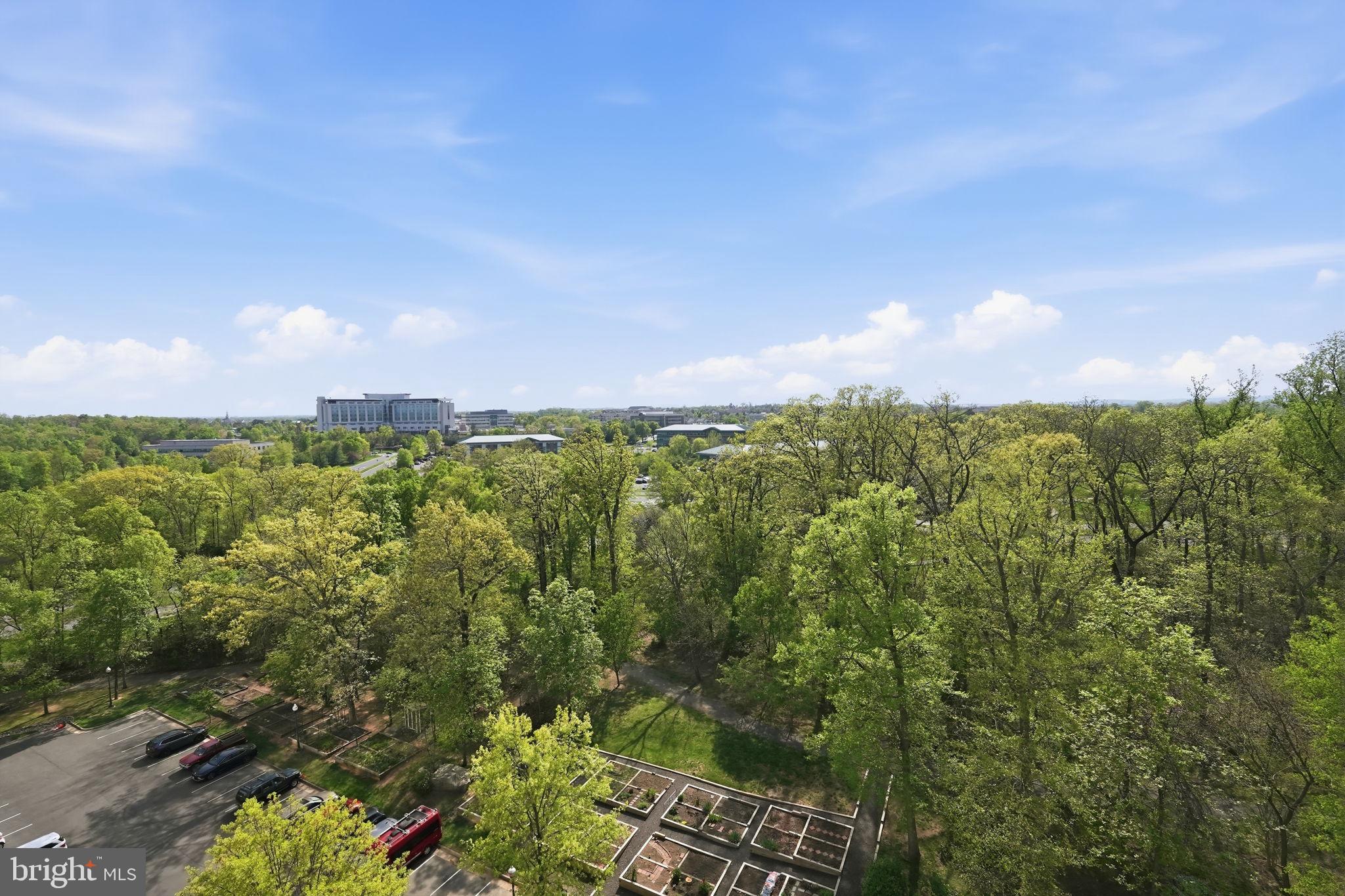 LANSDOWNE WOODS - Residential
