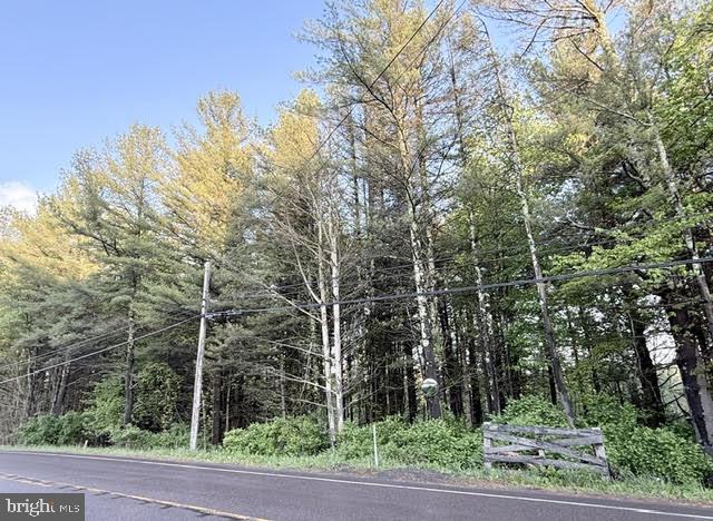 2 acres off Hutton Rd, raw land, endless possibilities. No restrictions, county zoning applies. Manly tree covered.