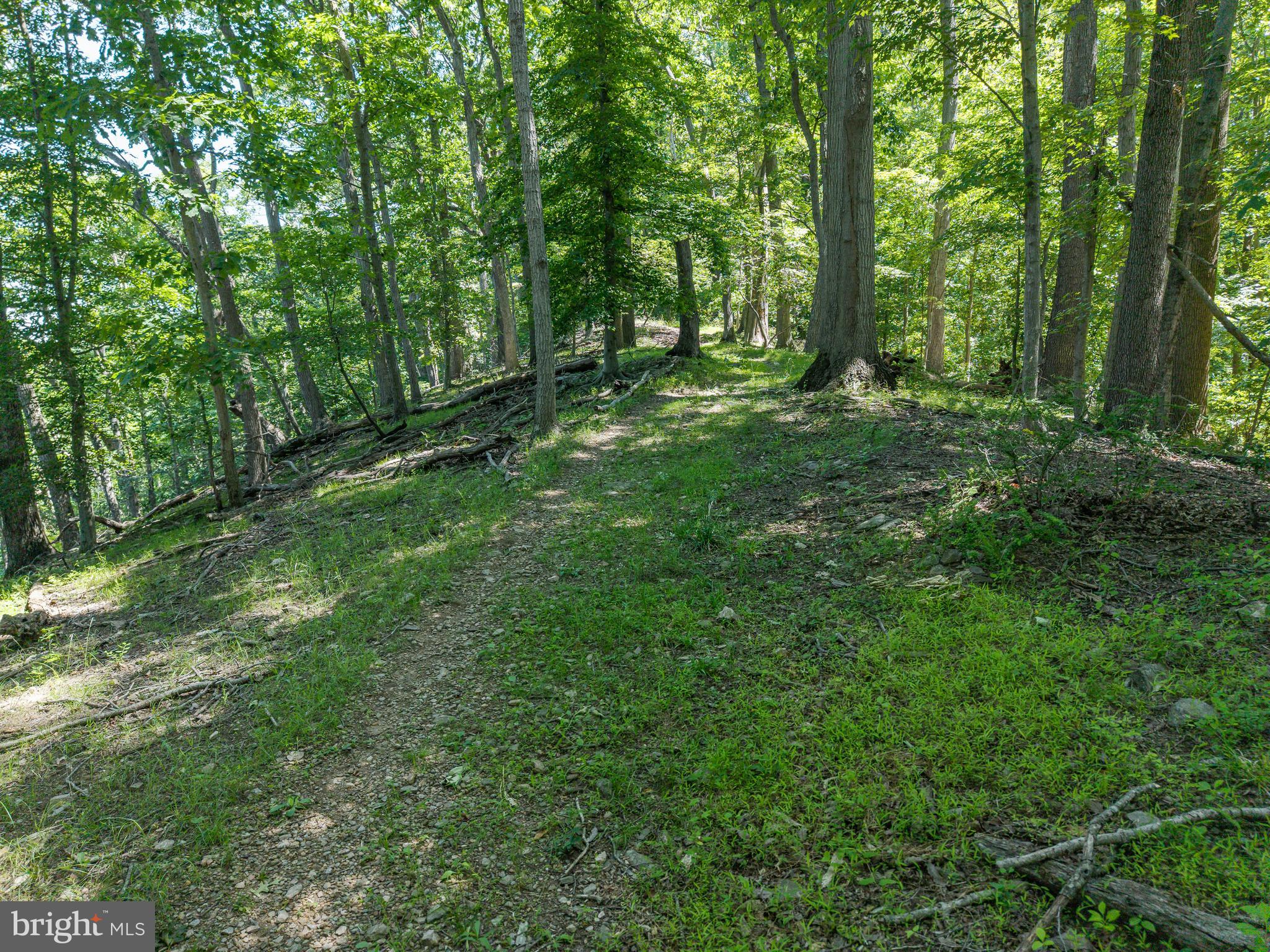 HONEYSUCKLE HILL - Residential