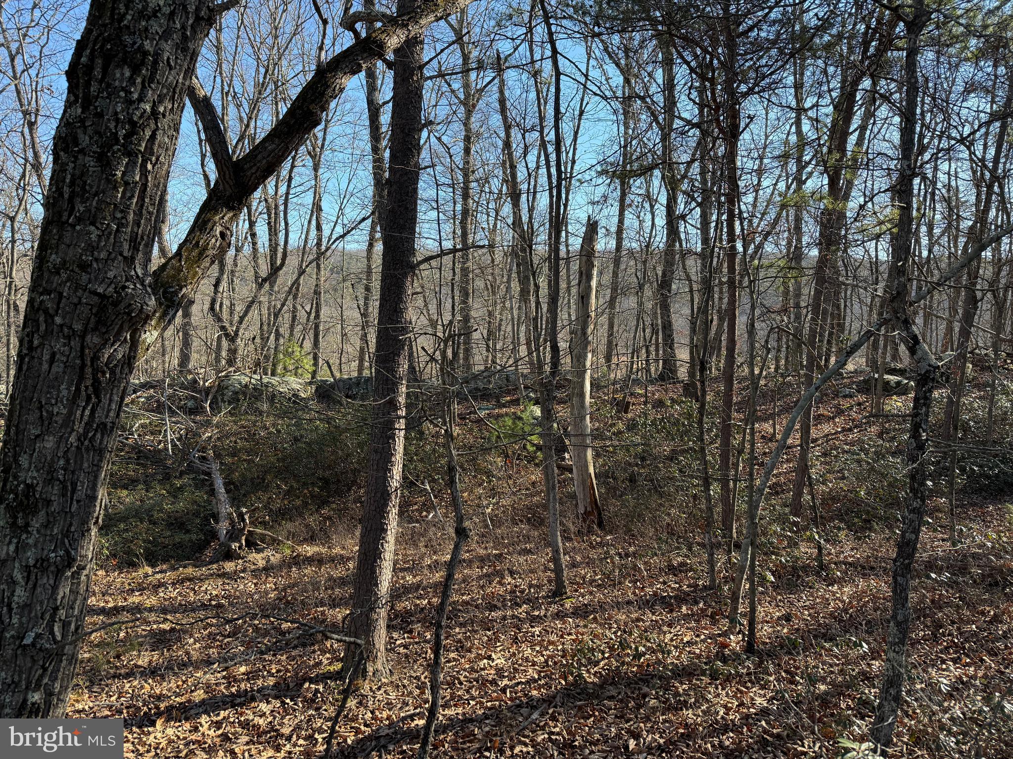 RITTERS HIDDEN VALLEY - Land