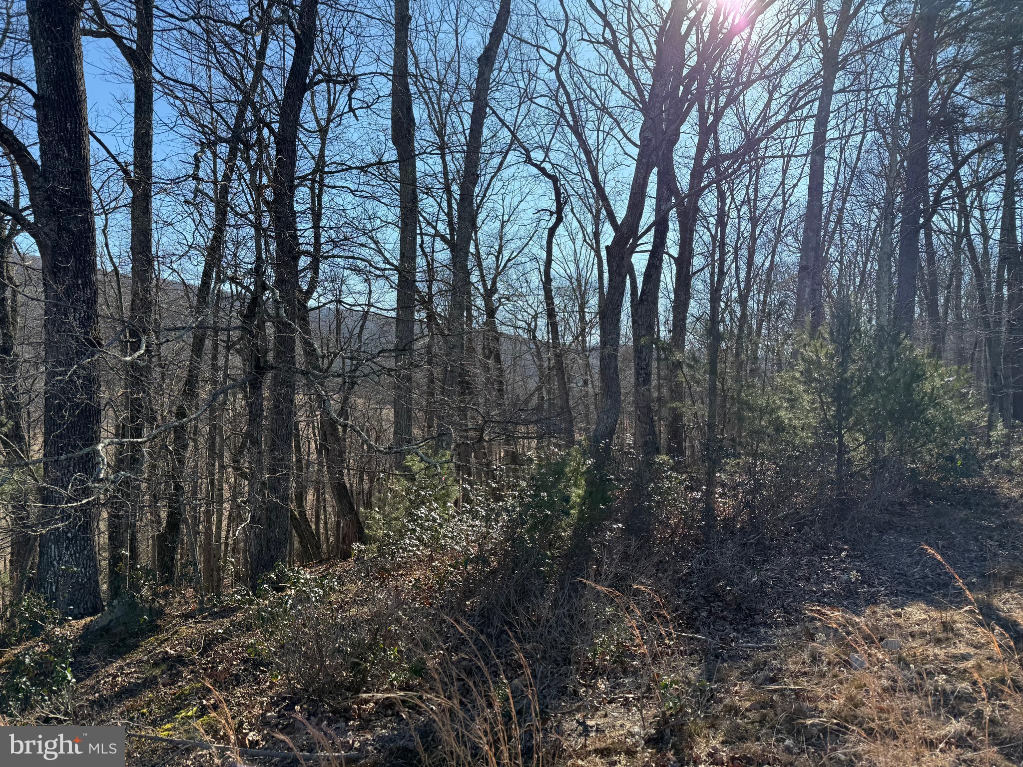 RITTERS HIDDEN VALLEY - Land