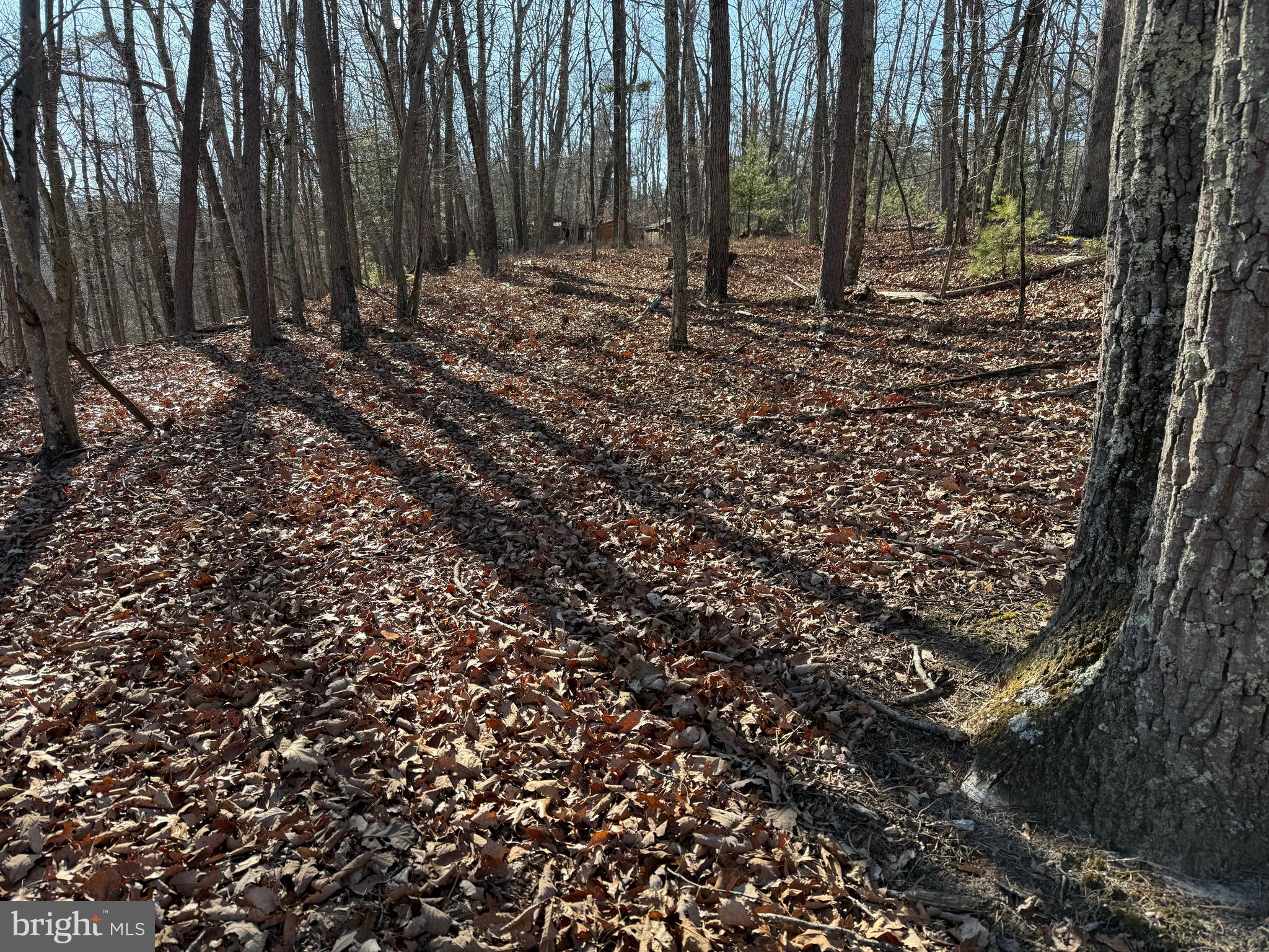 RITTERS HIDDEN VALLEY - Land