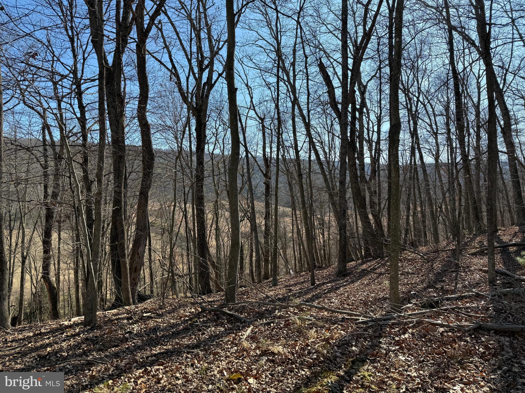 **** PRICE IMPROVEMENT ****     Bring your dreams of a mountain home with amazing views to life with these 2 adjoining lots totaling 10 acres. This is a unique opportunity to purchase in Ritters Hidden Valley with views over the valley and the mountain ridge beyond. You get to choose where you want to build your forever home or a weekend retreat and you can tailor your landscaping by choose which trees you want to clear to open that view for year round enjoyment. There is plenty of wildlife for those avid outdoorsman and nature enthusiast. You can also ride your ATV through the community. If you want to do something else, but not stray too far from home, just head down to the community lake area and go swimming or soak up the sun on the white sandy beach area or  get in a game or 2 at the tennis court. There is also a playground and a bath house at the lake area. You are a convenient 40 minute drive to Winchester, Virginia and less than 2 hours from Dulles Airport.