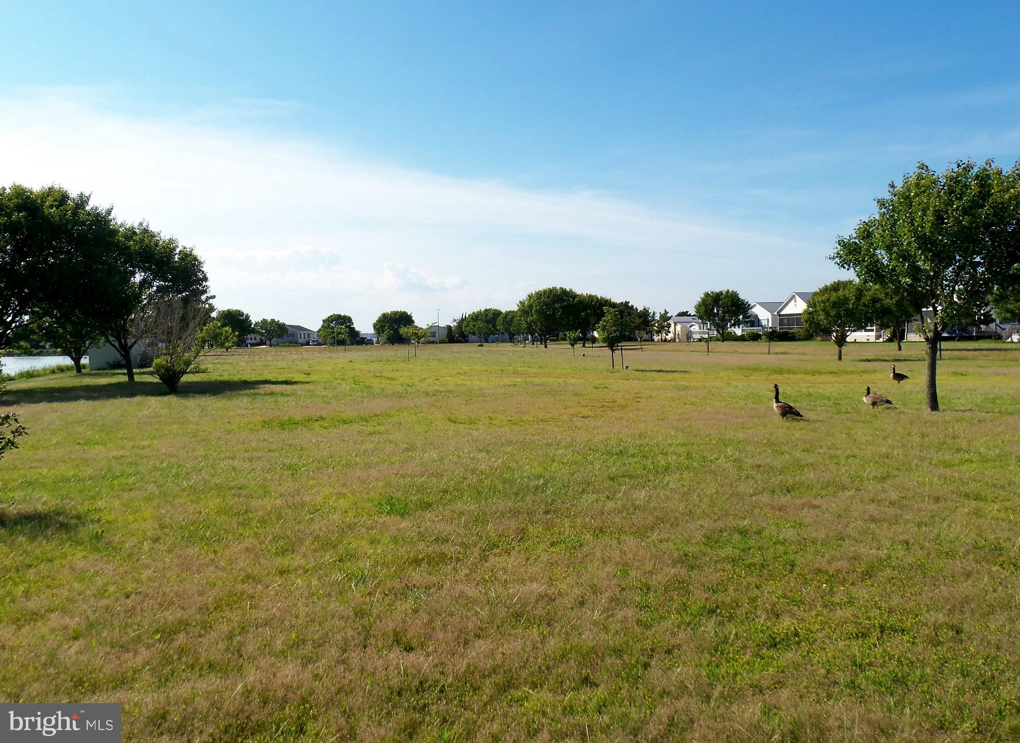 MONTEGO BAY - Residential