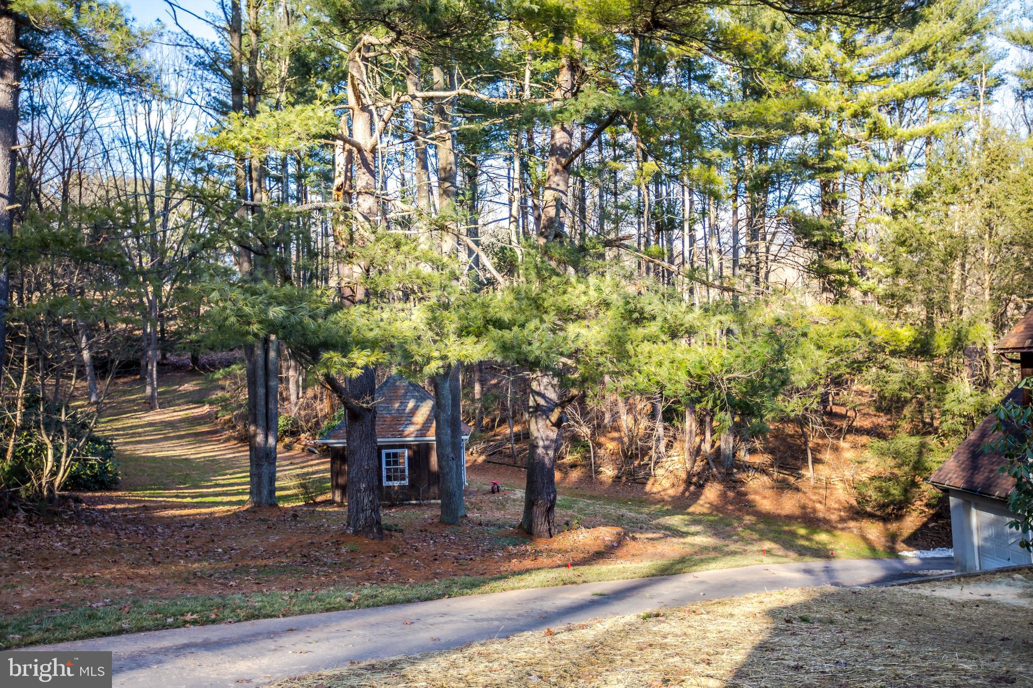 FREELAND - Residential Lease