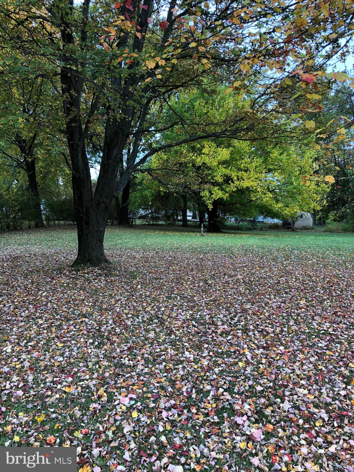 CARROLL VALLEY - Land