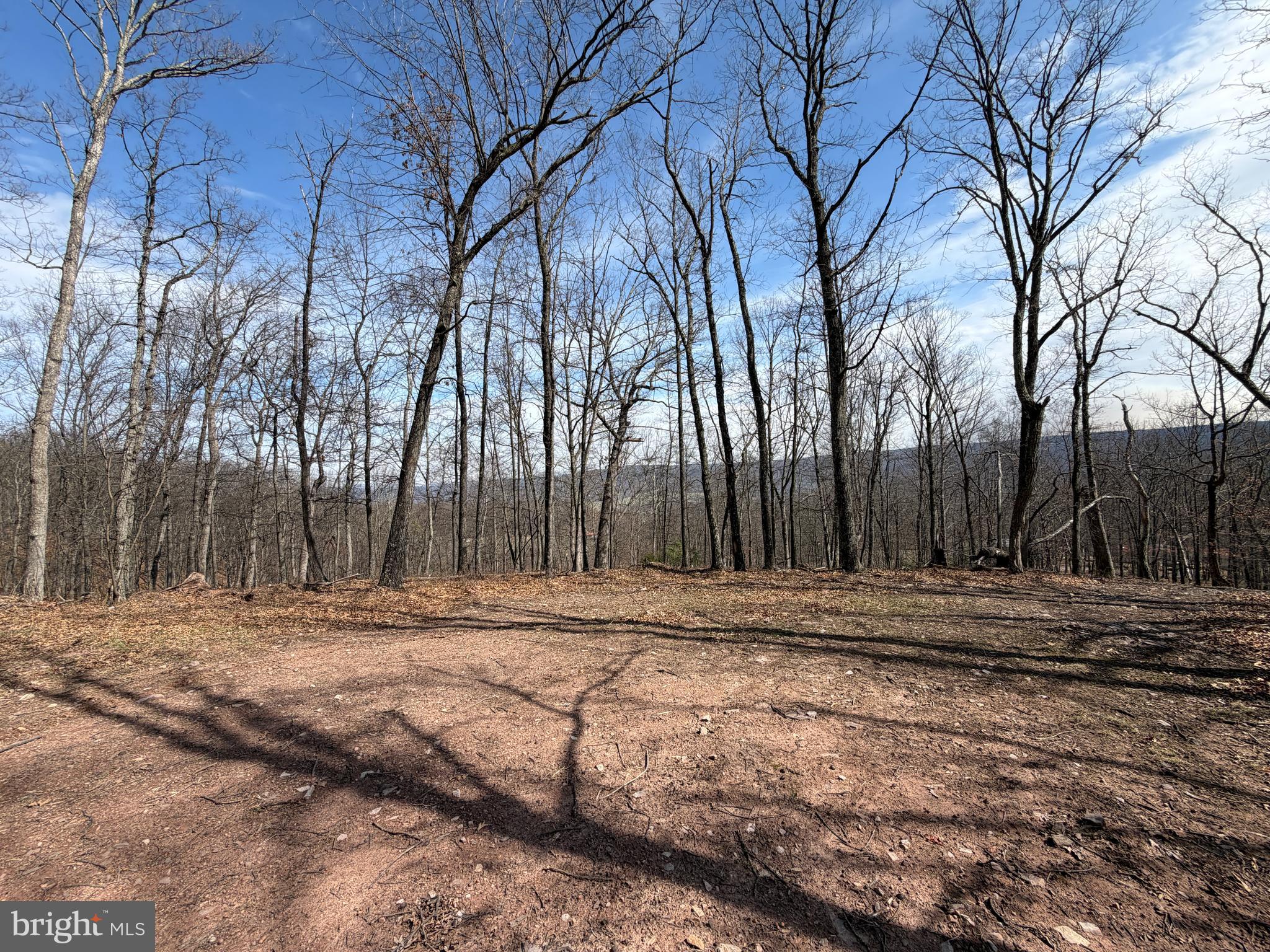NONE UNRESTRICTED - Land