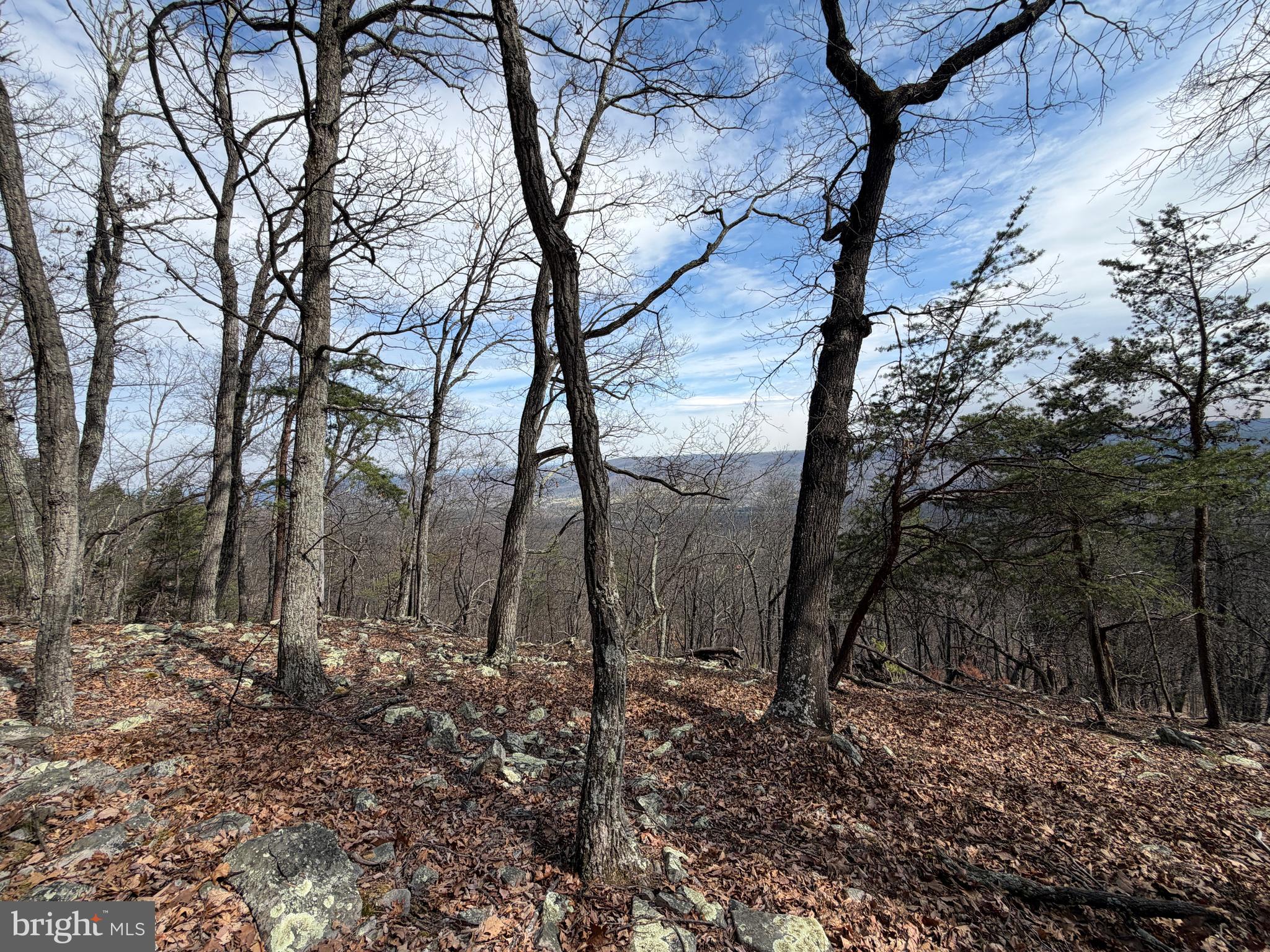 NONE UNRESTRICTED - Land