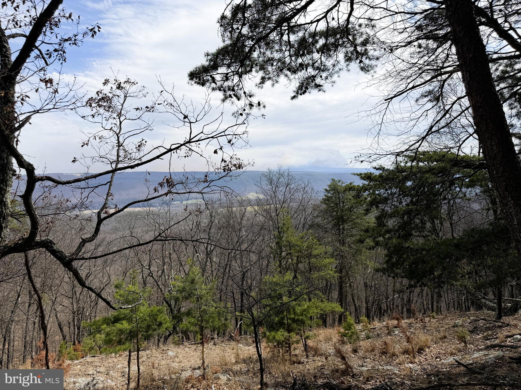 NONE UNRESTRICTED - Land