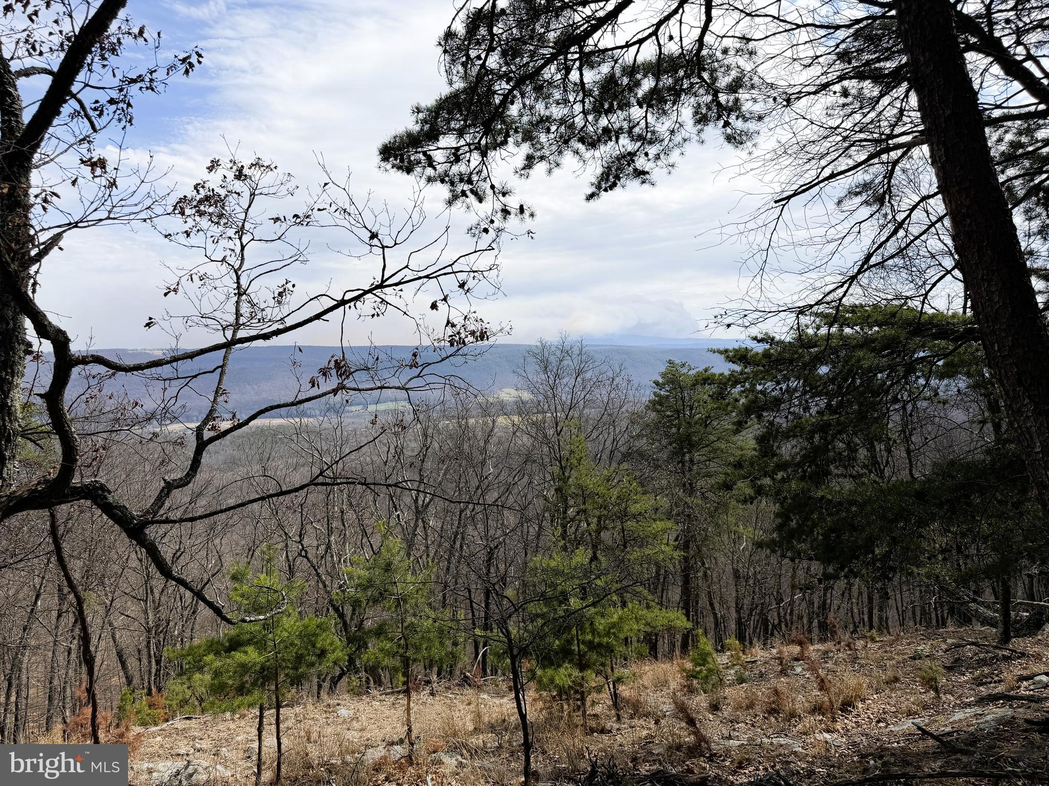 NONE UNRESTRICTED - Land