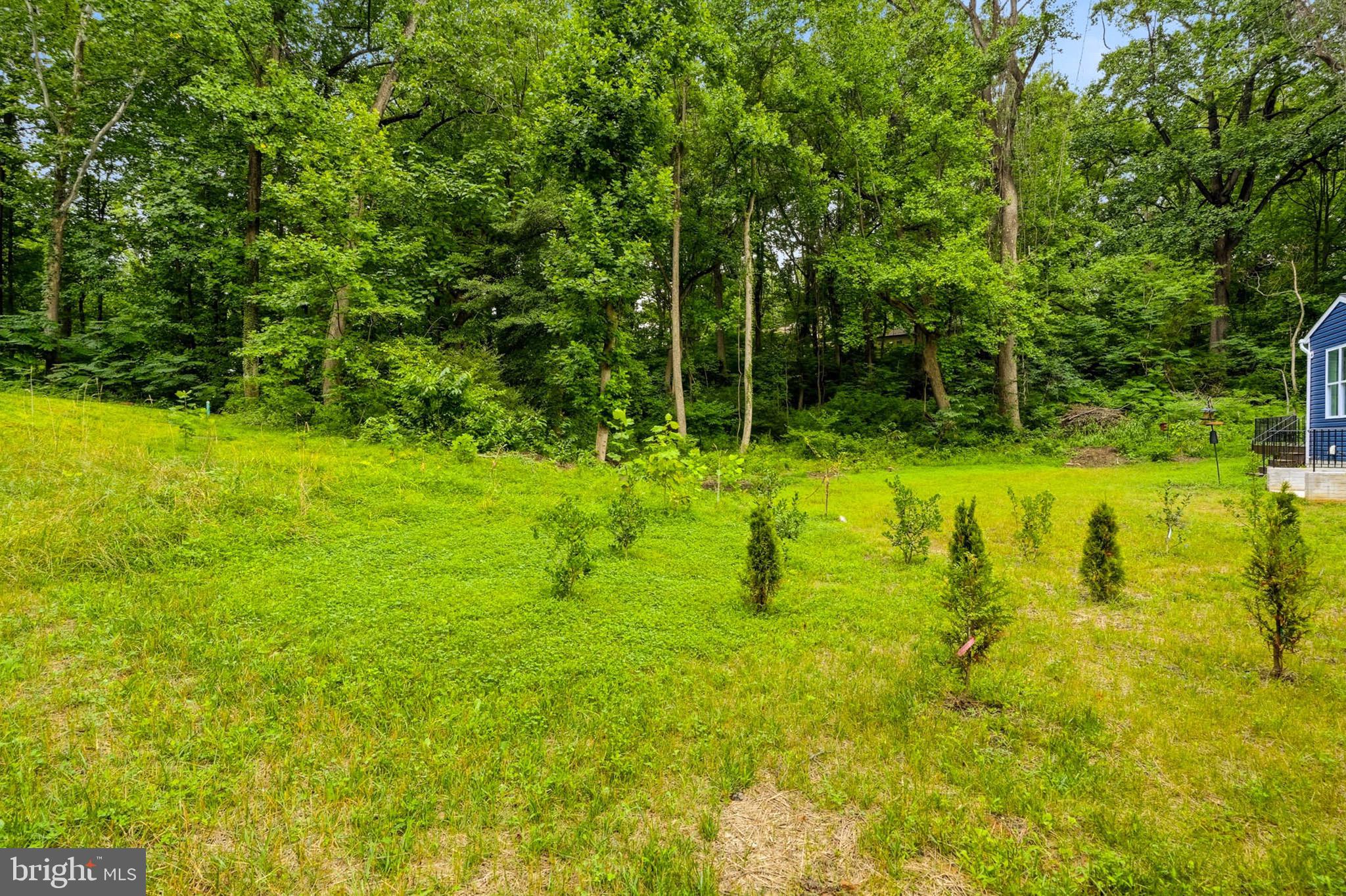 TIMBER RIDGE - Residential