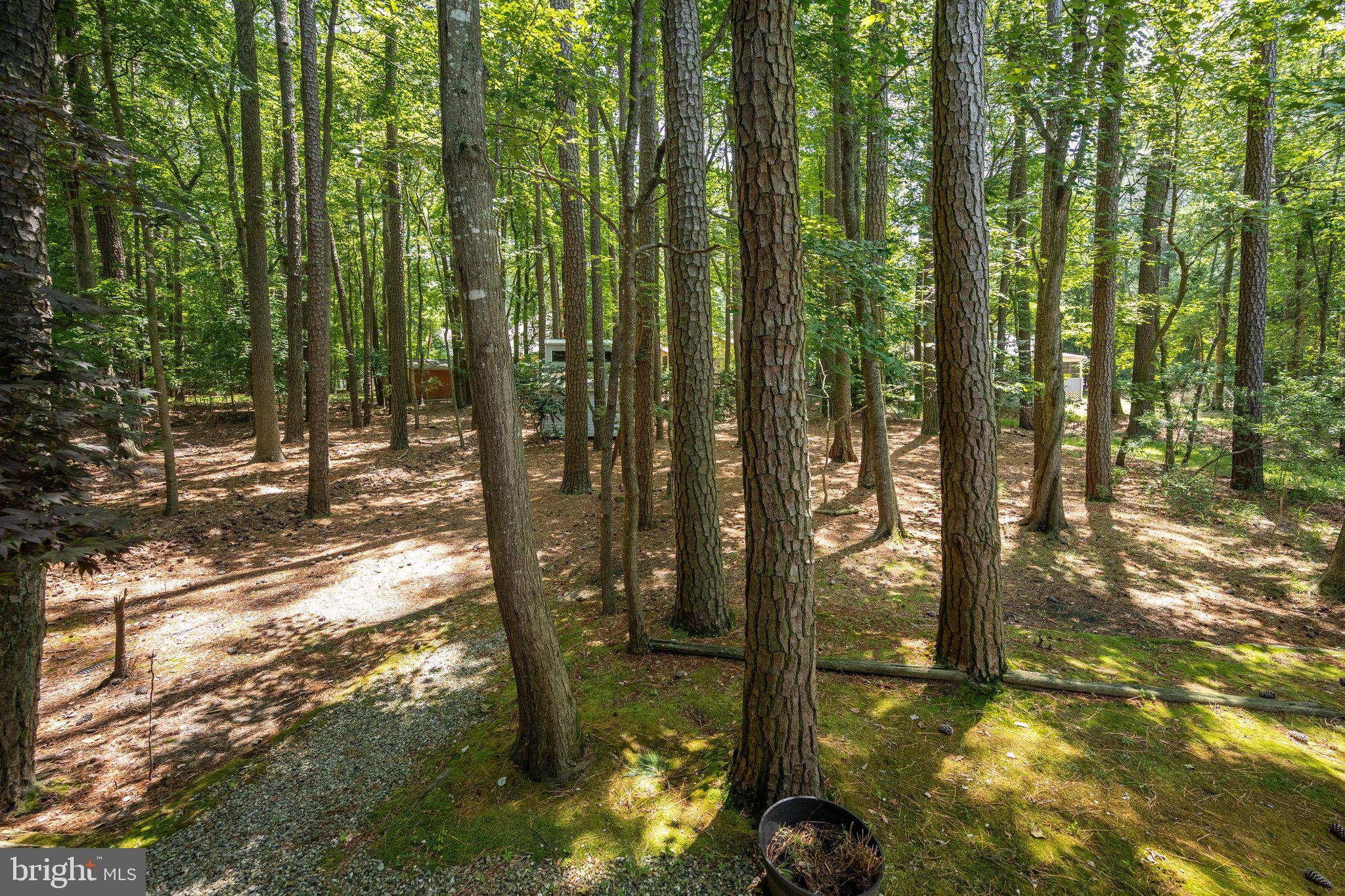 OCEAN PINES - SHERWOOD FOREST - Residential