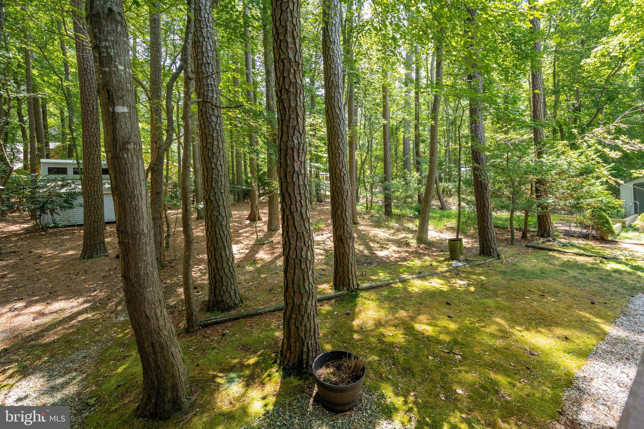 OCEAN PINES - SHERWOOD FOREST - Residential