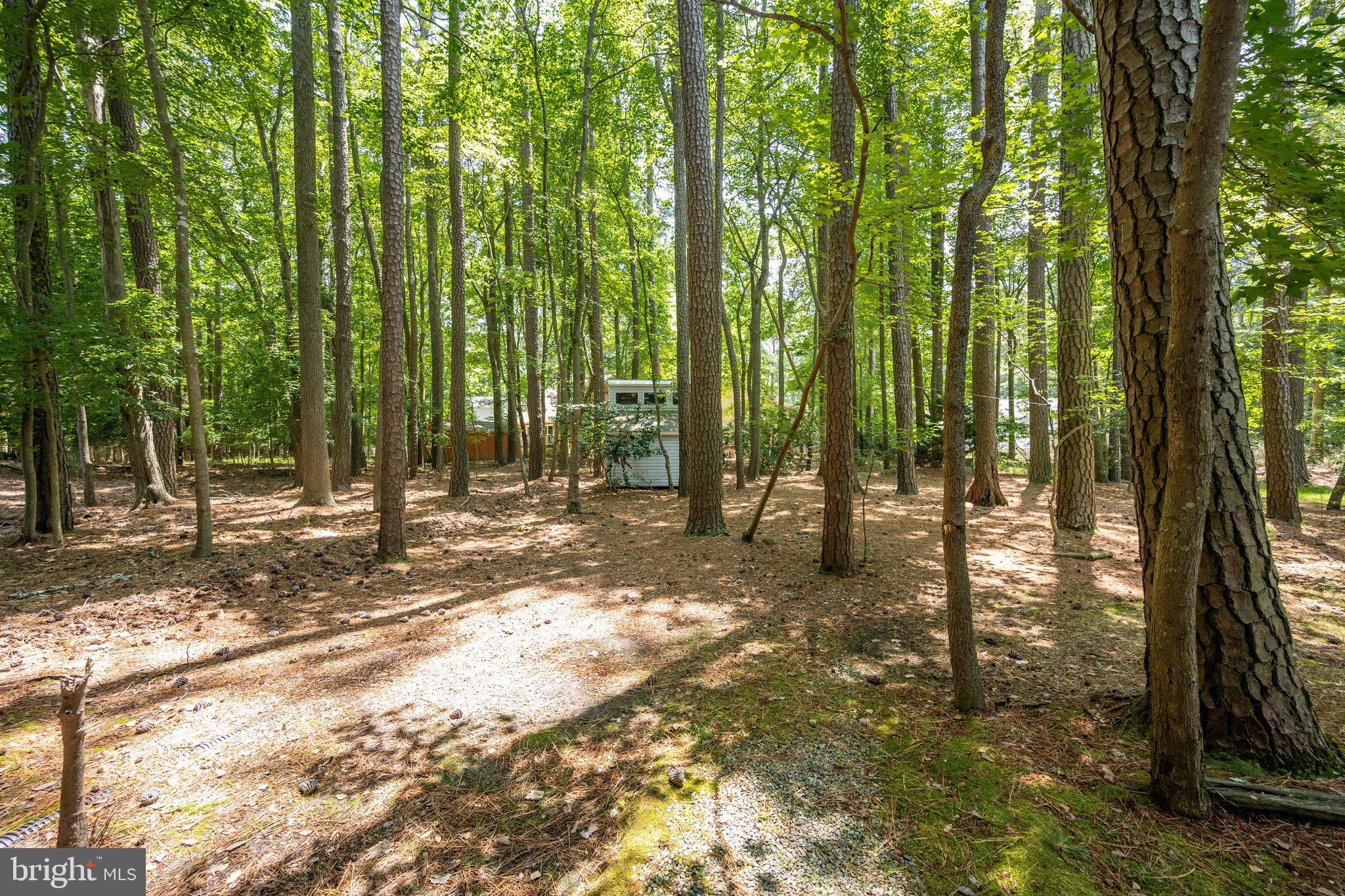 OCEAN PINES - SHERWOOD FOREST - Residential