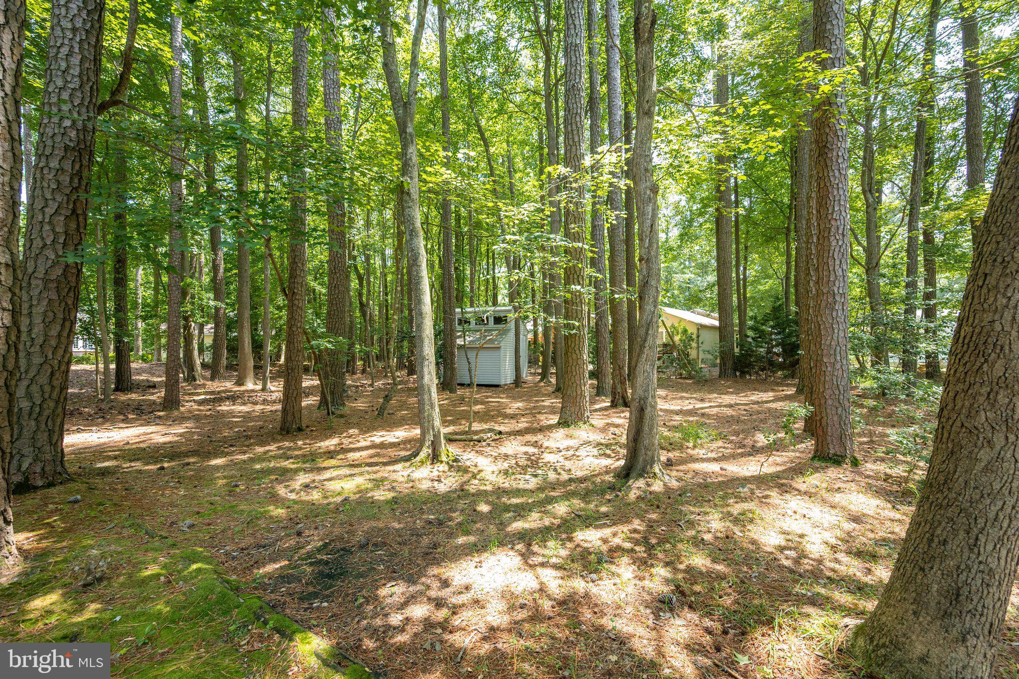 OCEAN PINES - SHERWOOD FOREST - Residential
