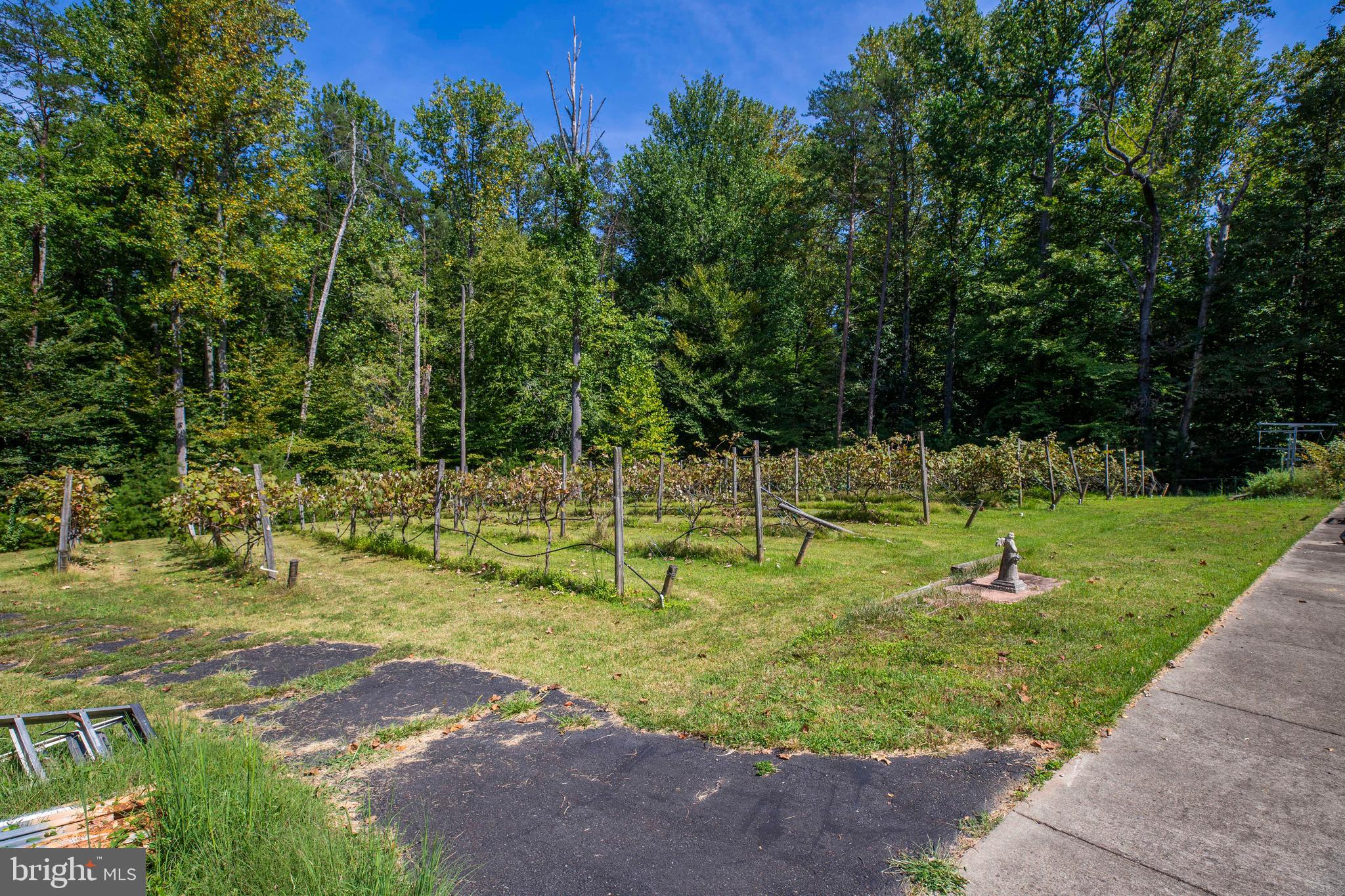 BRIARLYNN ESTATES - Residential