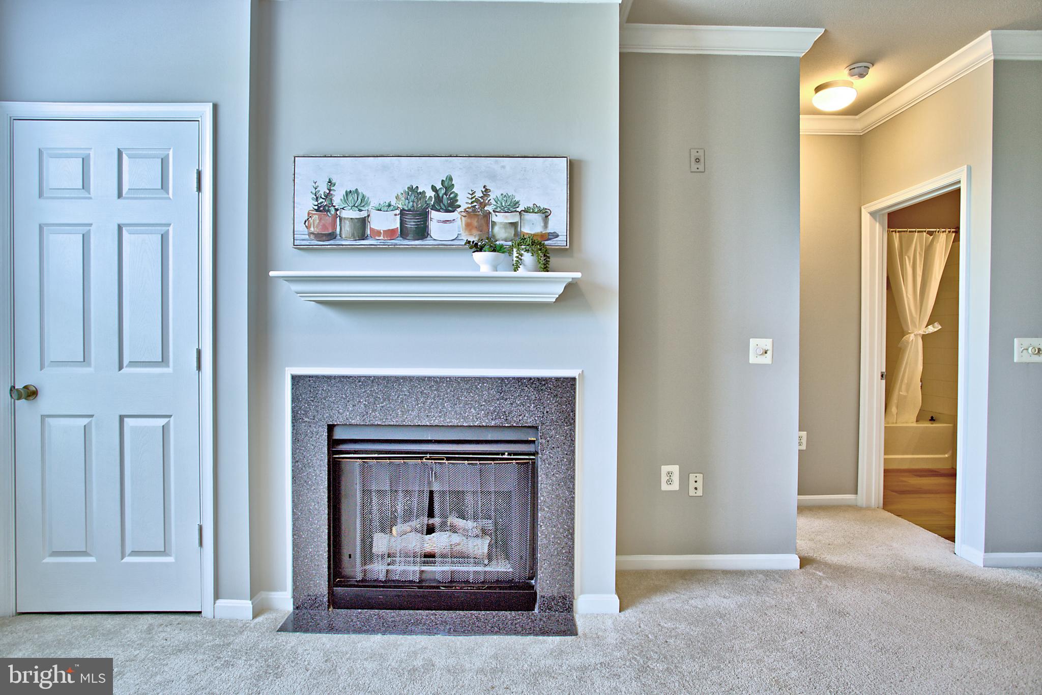 MARQUIS AT VIENNA STATION - Residential