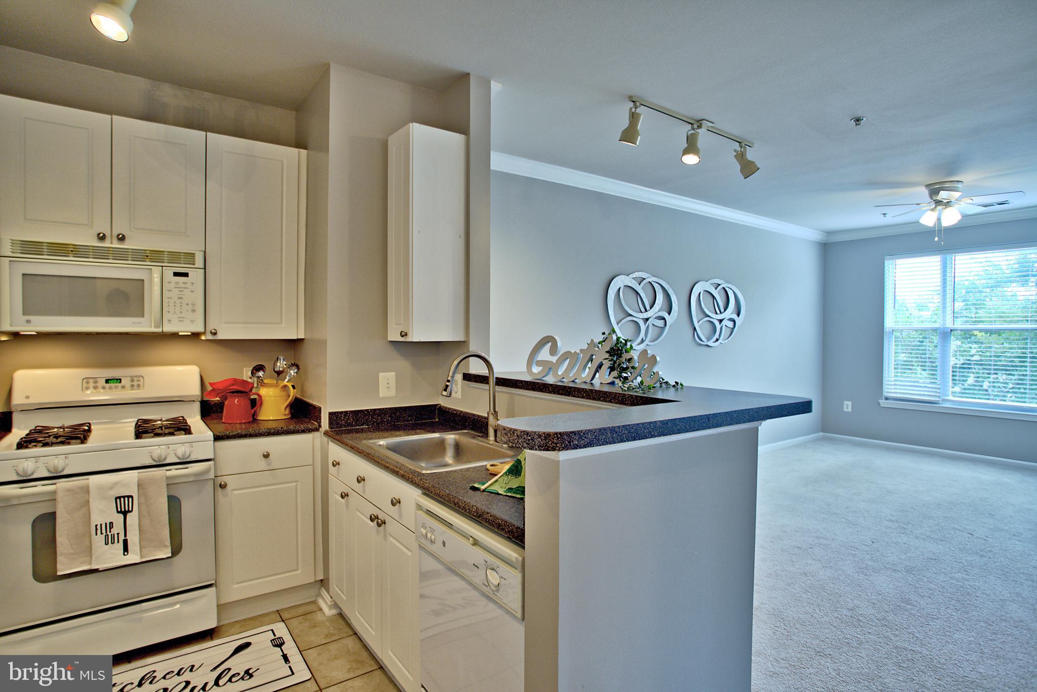 MARQUIS AT VIENNA STATION - Residential