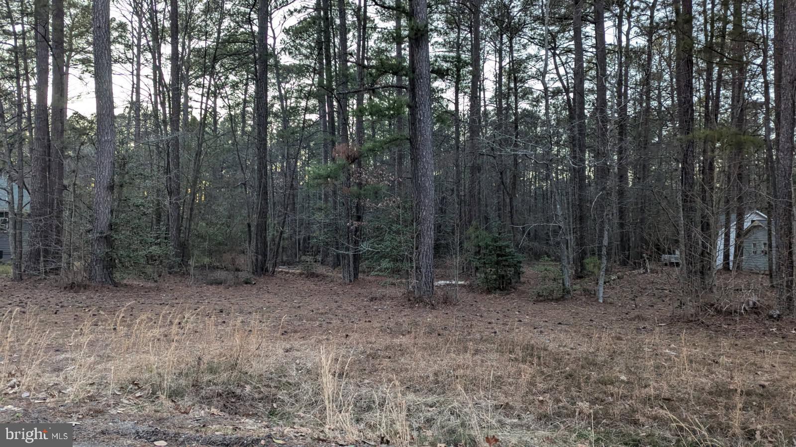 Nice building lot in popular waterfront community only 2 hours from Northern VA and Richmond.  Great location -  walk to the pool/clubhouse /courts.  Great community amenities to include: 4 sand beaches, cluhouse and pool, pickleball courts, 2 boat ramps, picnic area, and, trailer storage.   Perfect spot for full-time living or a getaway retreat near the water. Easy access for fishing, boating, crabbing and watersports.  Life is great at the Northern Neck! Central water and sewer available. Breezeline internet.