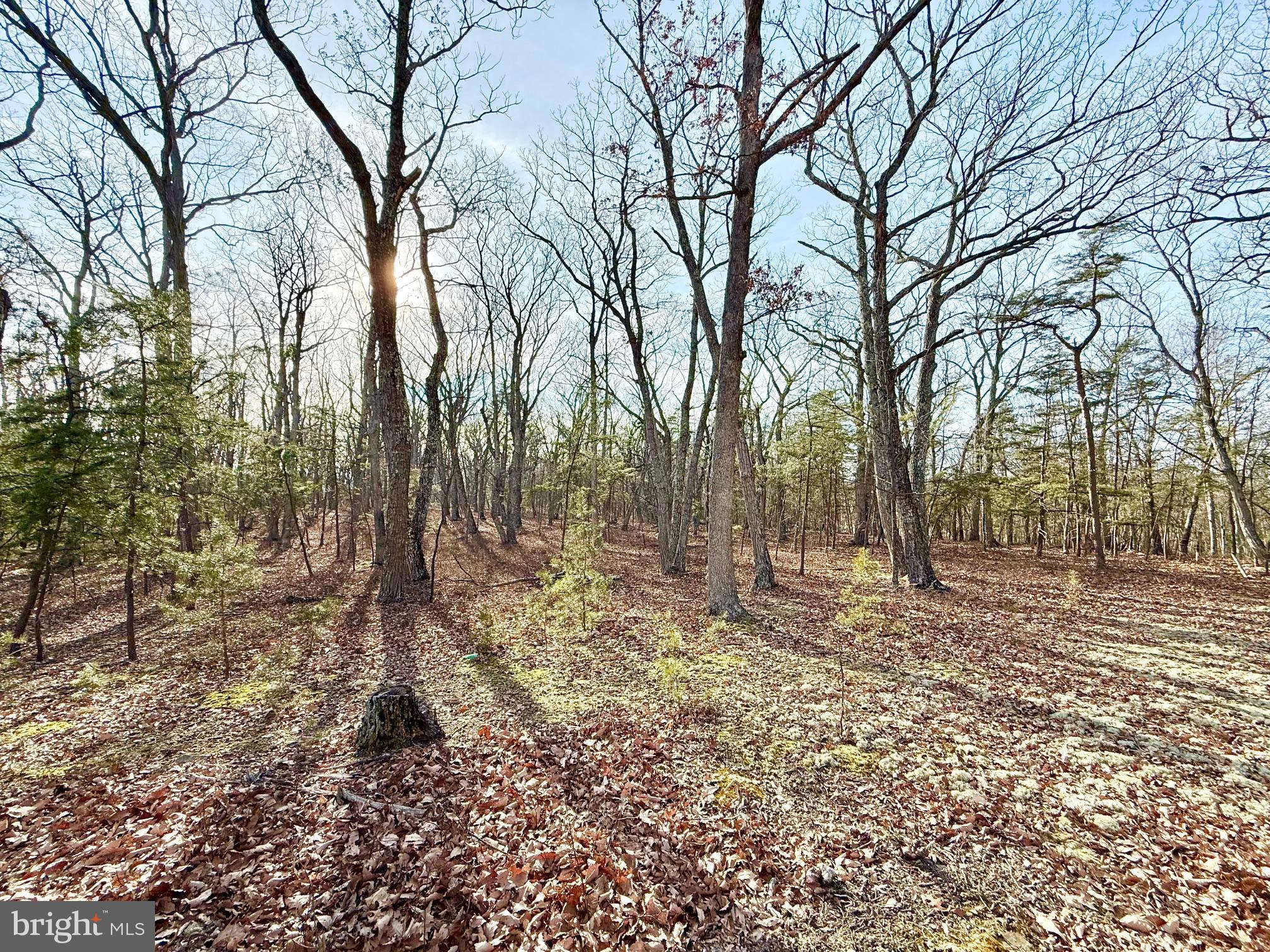 Back on the Market!!  Beautiful 5.27-acre lot featuring electric and telephone service along the property line. This level, 100% usable tract offers endless possibilities—pull in your camper, build a cabin, or construct your dream home. Enjoy the peace and tranquility of the mountains on your own private oasis. Conveniently located near Corridor H, the property provides easy access while maintaining a secluded feel. With mature timber, excellent hunting potential, and abundant natural beauty, this is your opportunity to own a true slice of mountain heaven. Don’t let this one pass you by—call today to schedule a private tour.