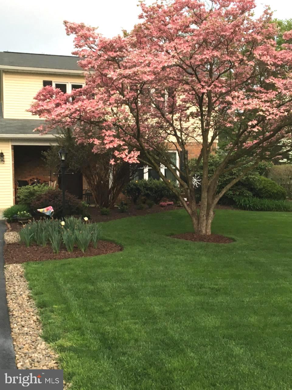 KAYWOOD - Residential