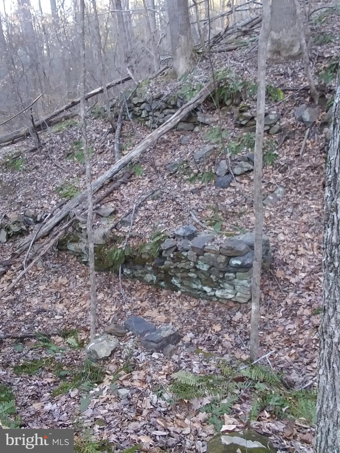 SHENANDOAH FARMS - Land