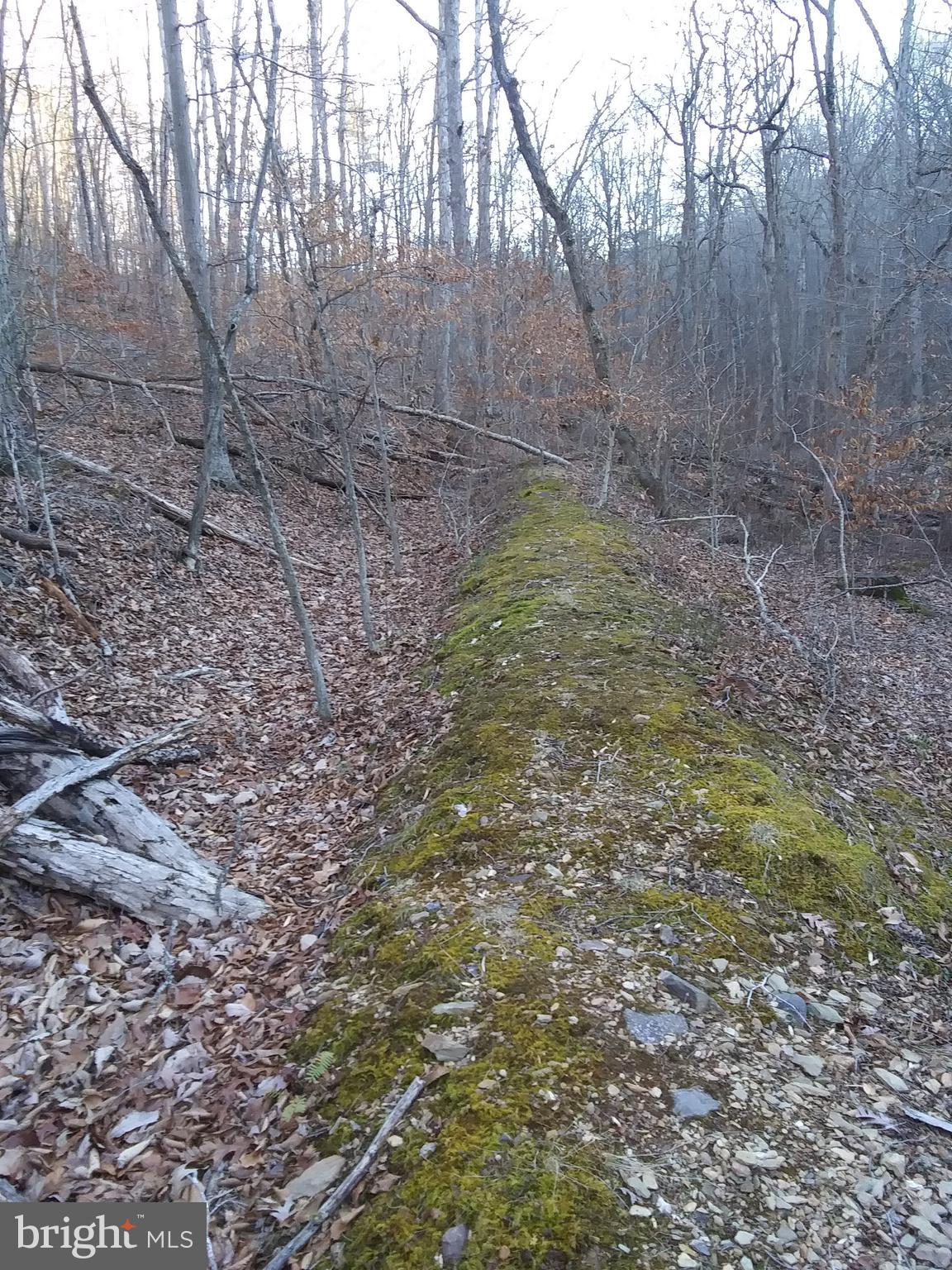 SHENANDOAH FARMS - Land