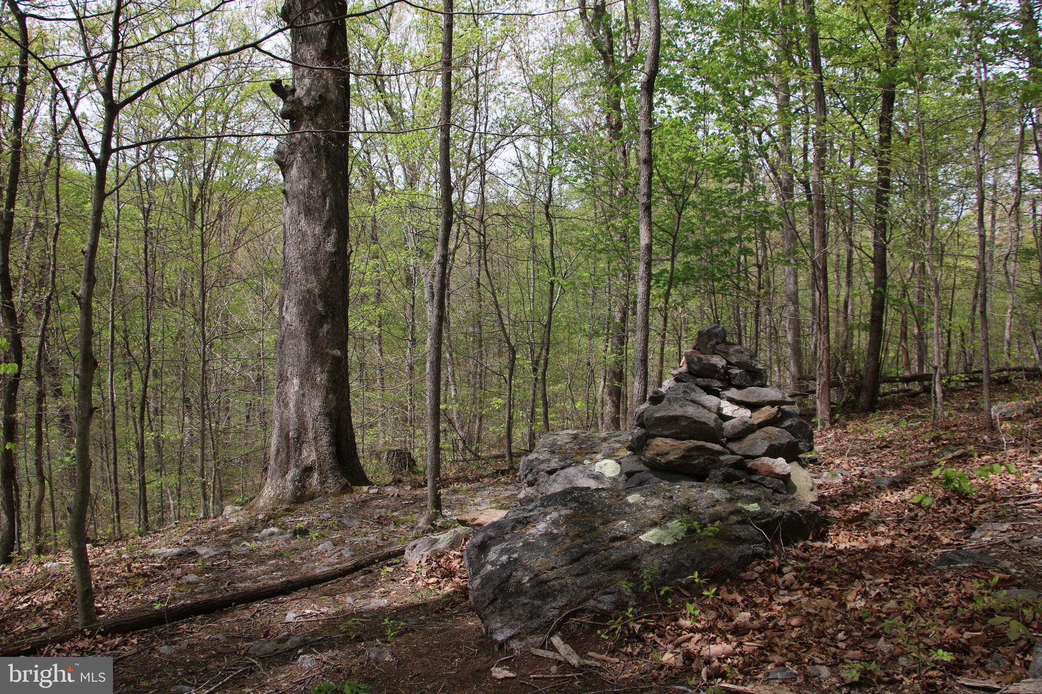 SHENANDOAH FARMS - Land