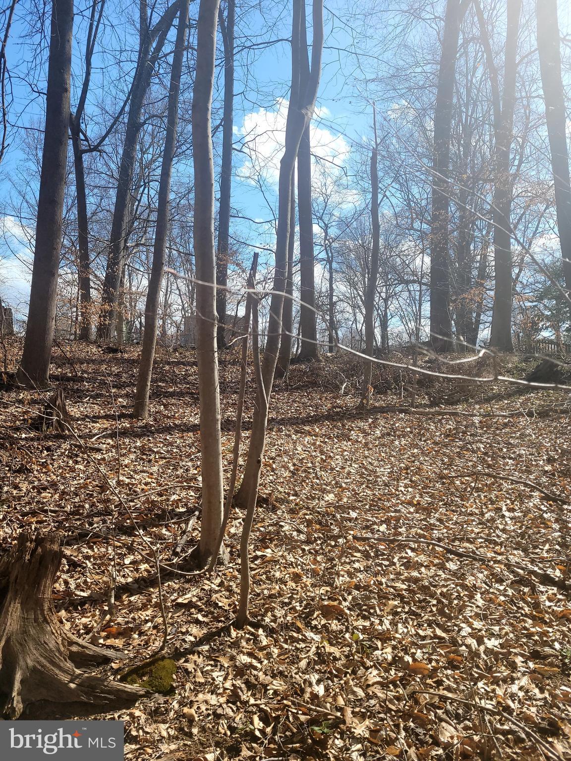 ***Land For Sale*** Build your home on this rural 3.39 acres property located off of Rt. 224/Chicamuxen Road with right-of-way on Charlie Bills Place.  This land is also located near Indian Head Base, Stump Neck Annex, and Rt. 210/Indian Head Hwy.
