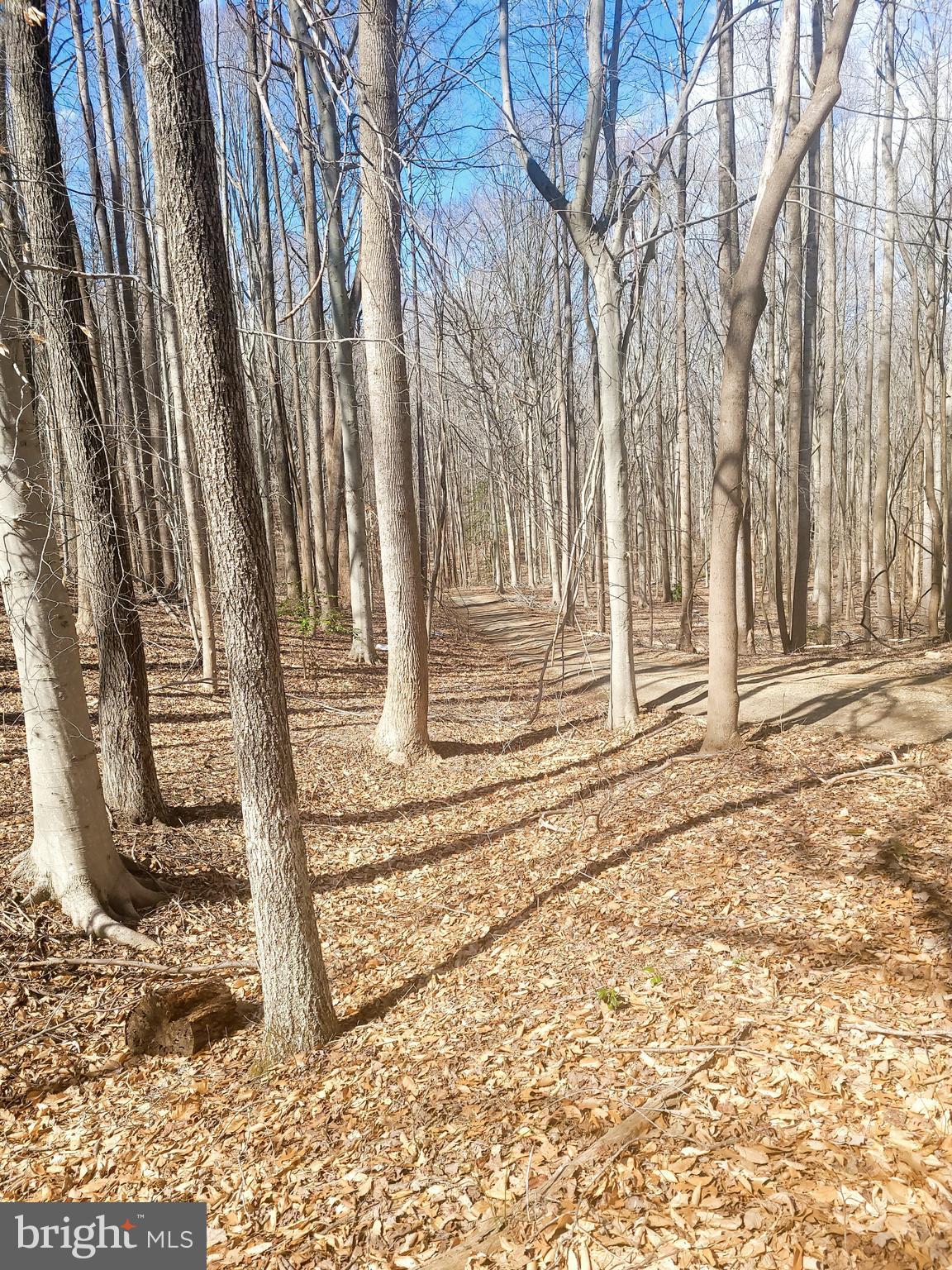 RISON HILLS SUB - Land