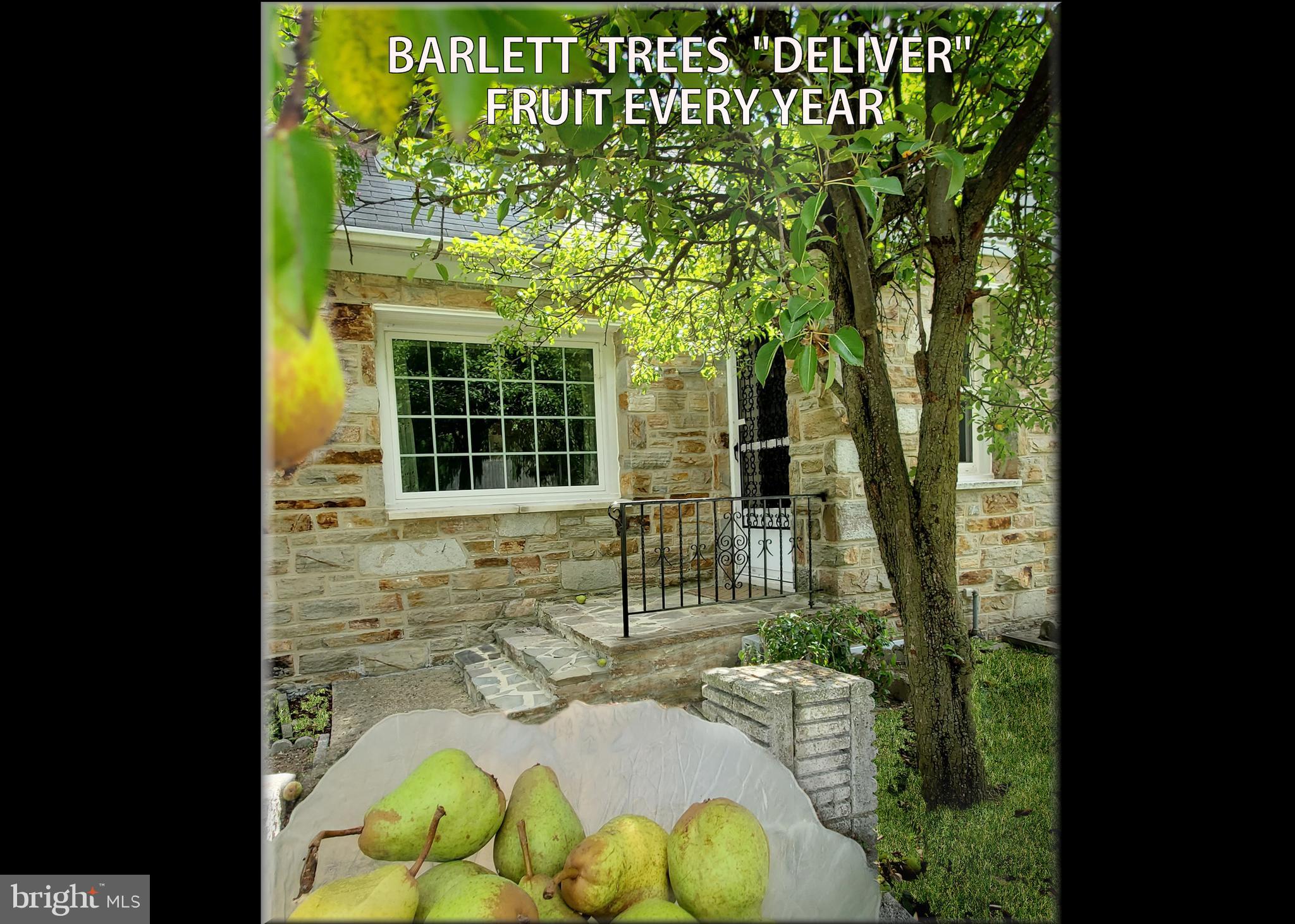 GARDENVILLE - Residential