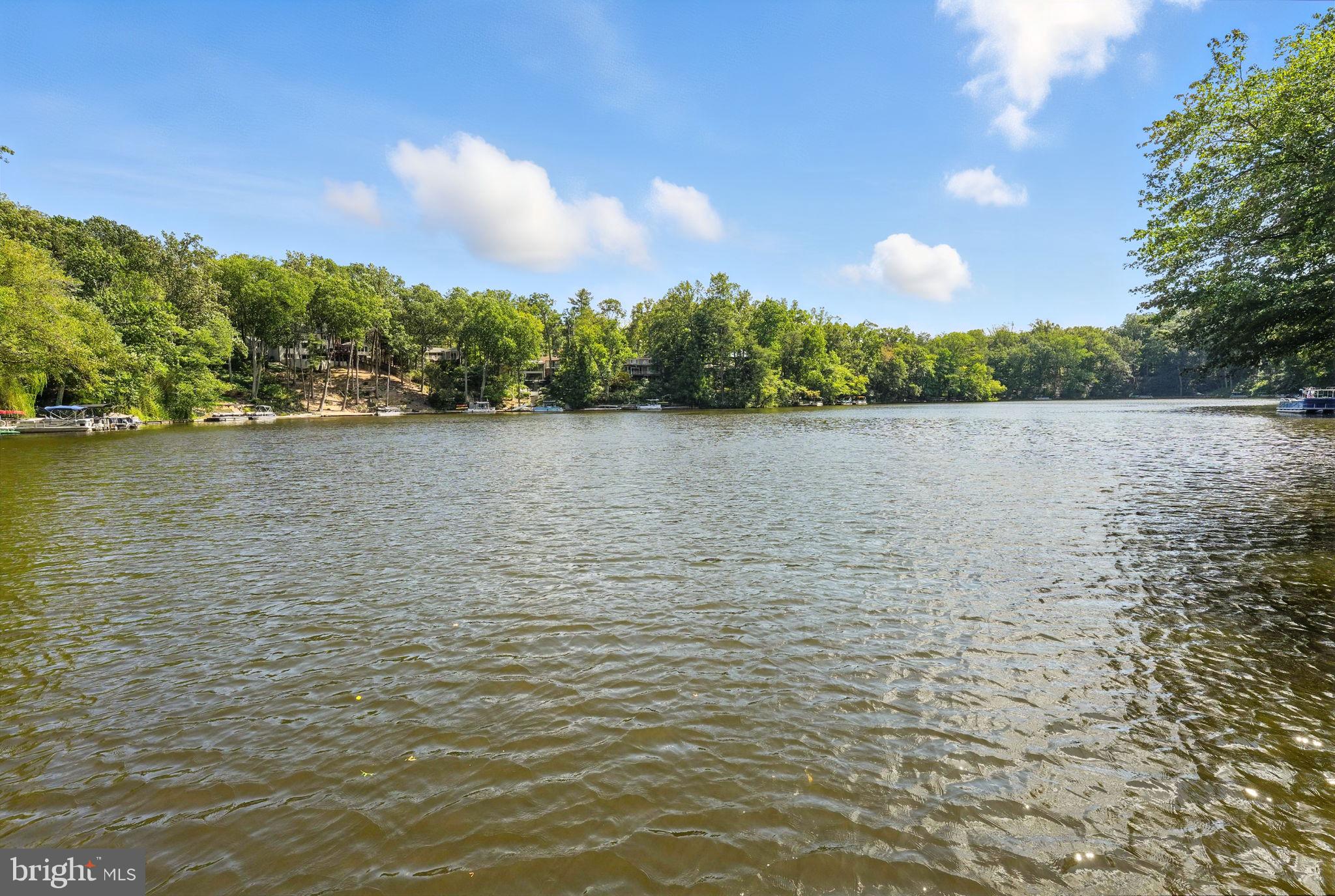 LAKE BARCROFT - Residential