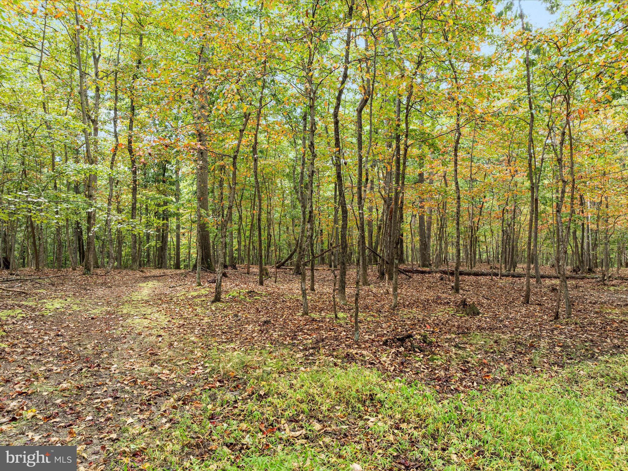 ROUND TOP ESTATES - Land