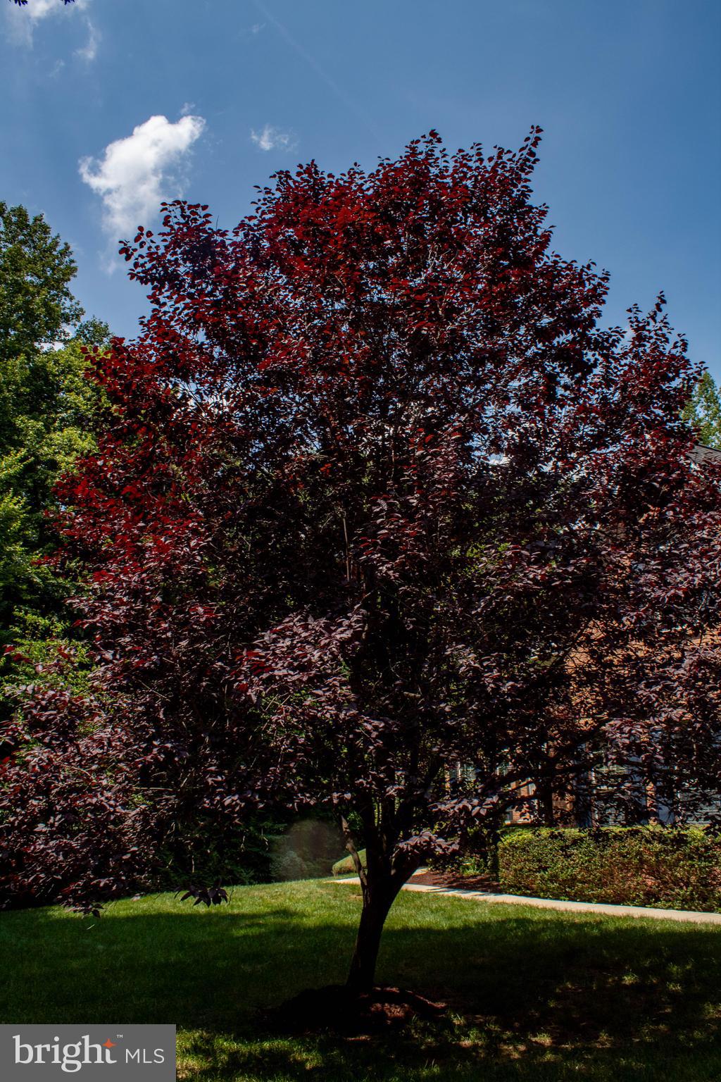 MANSFIELD - Residential