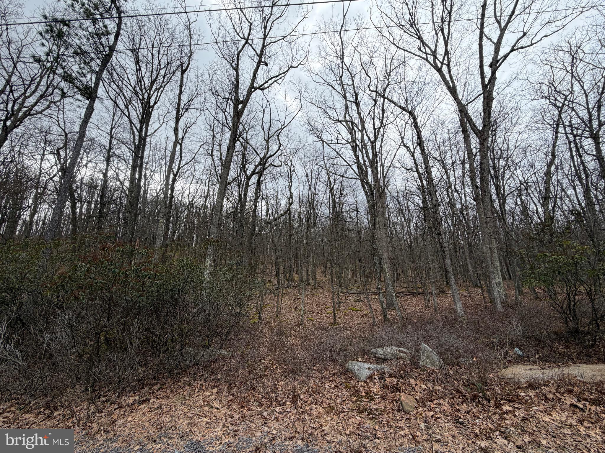 COVE VILLAGE - Land