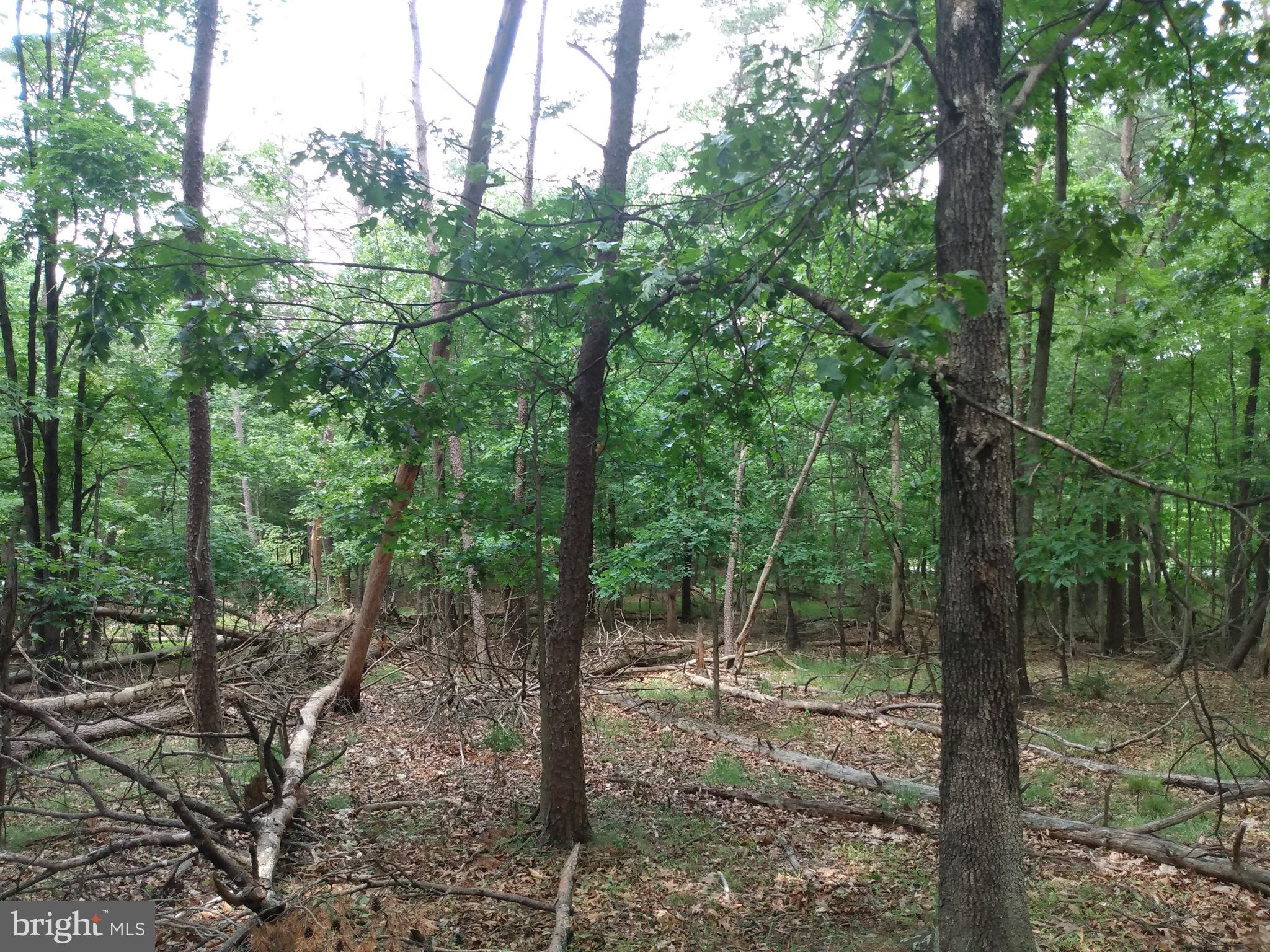 OAK FOREST - Land