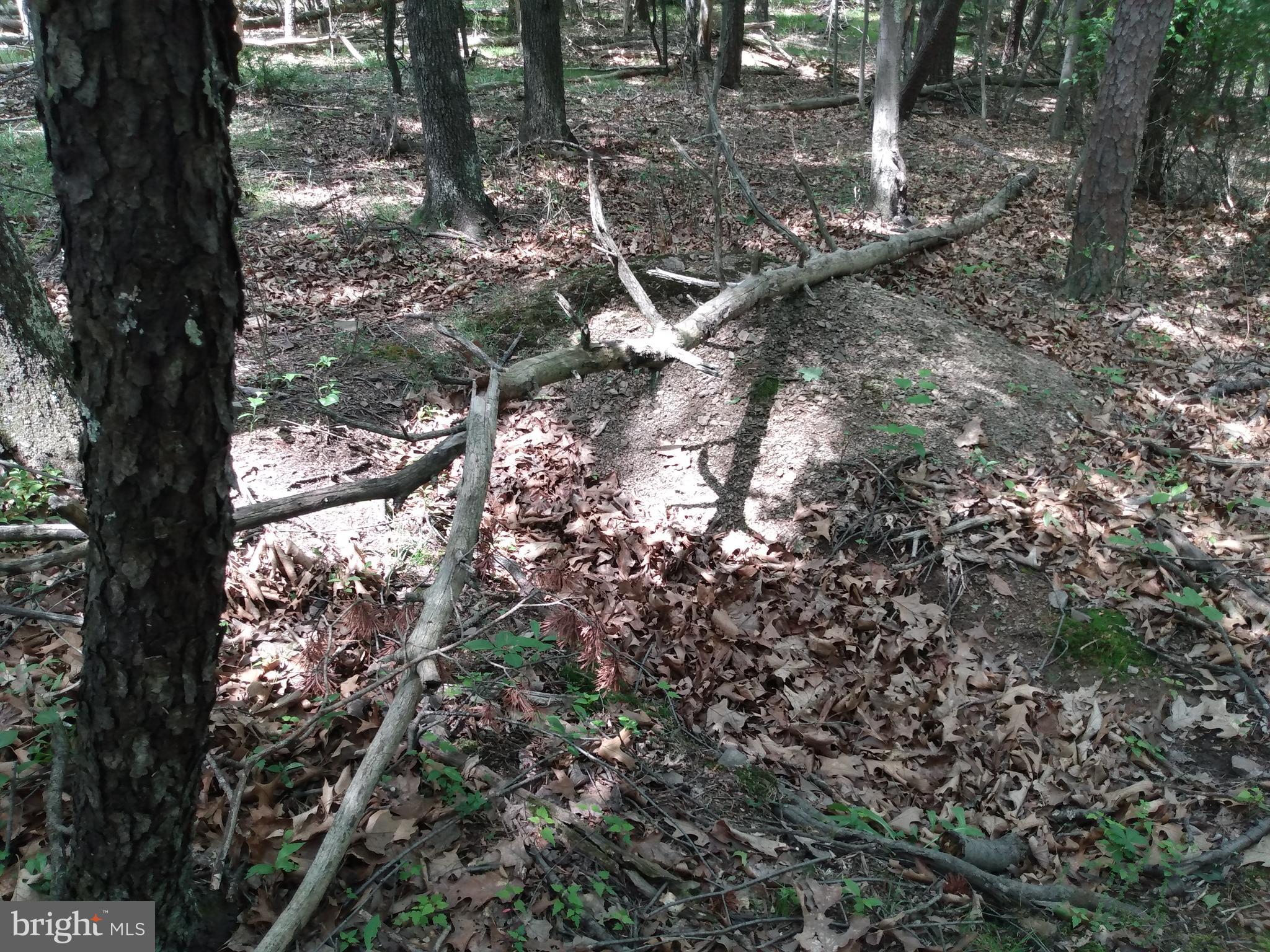 OAK FOREST - Land