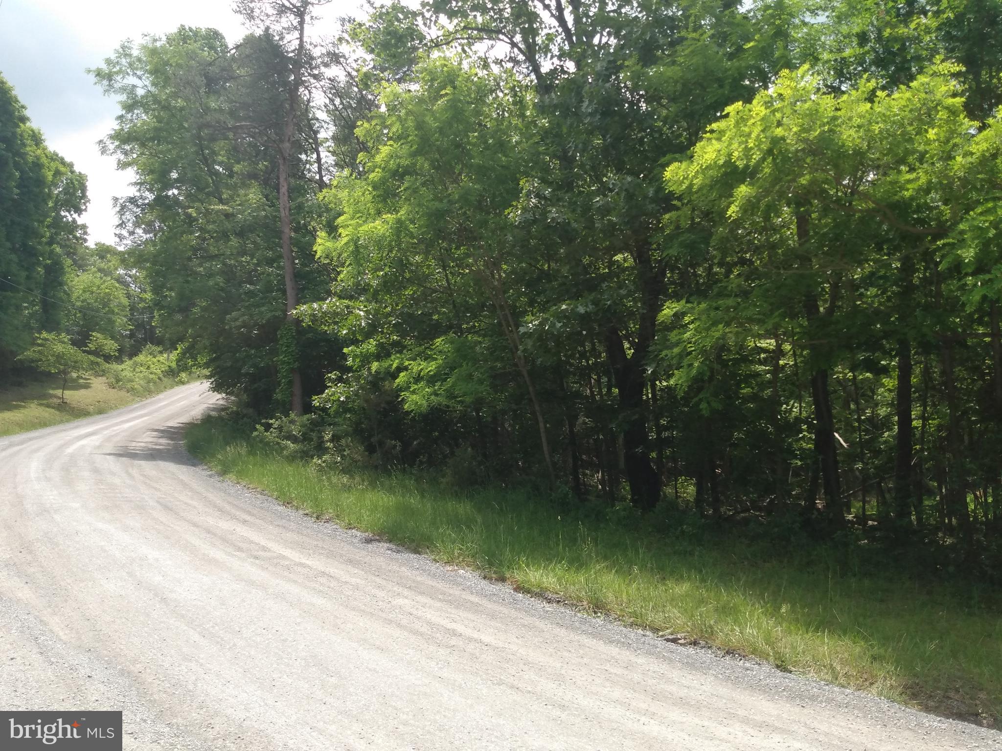 Nicely wooded 2.55 acre lot near the VA line for an easy drive to Winchester VA.  Also near the Cacapon State Park and Sleepy Creek Wild Life Management area for all of your outdoor activities. Already perked and ready to to build that full time residents or weekend retreat. Conveniently located just off the county blacktop road so don't let this one slip by!