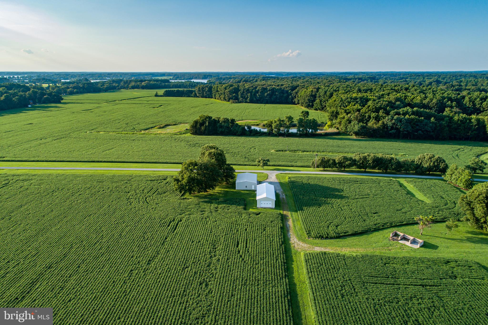 QUAKER NECK - Farm