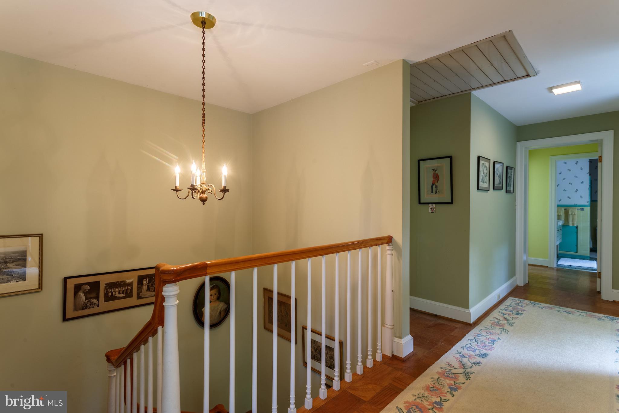 QUAKER NECK - Farm