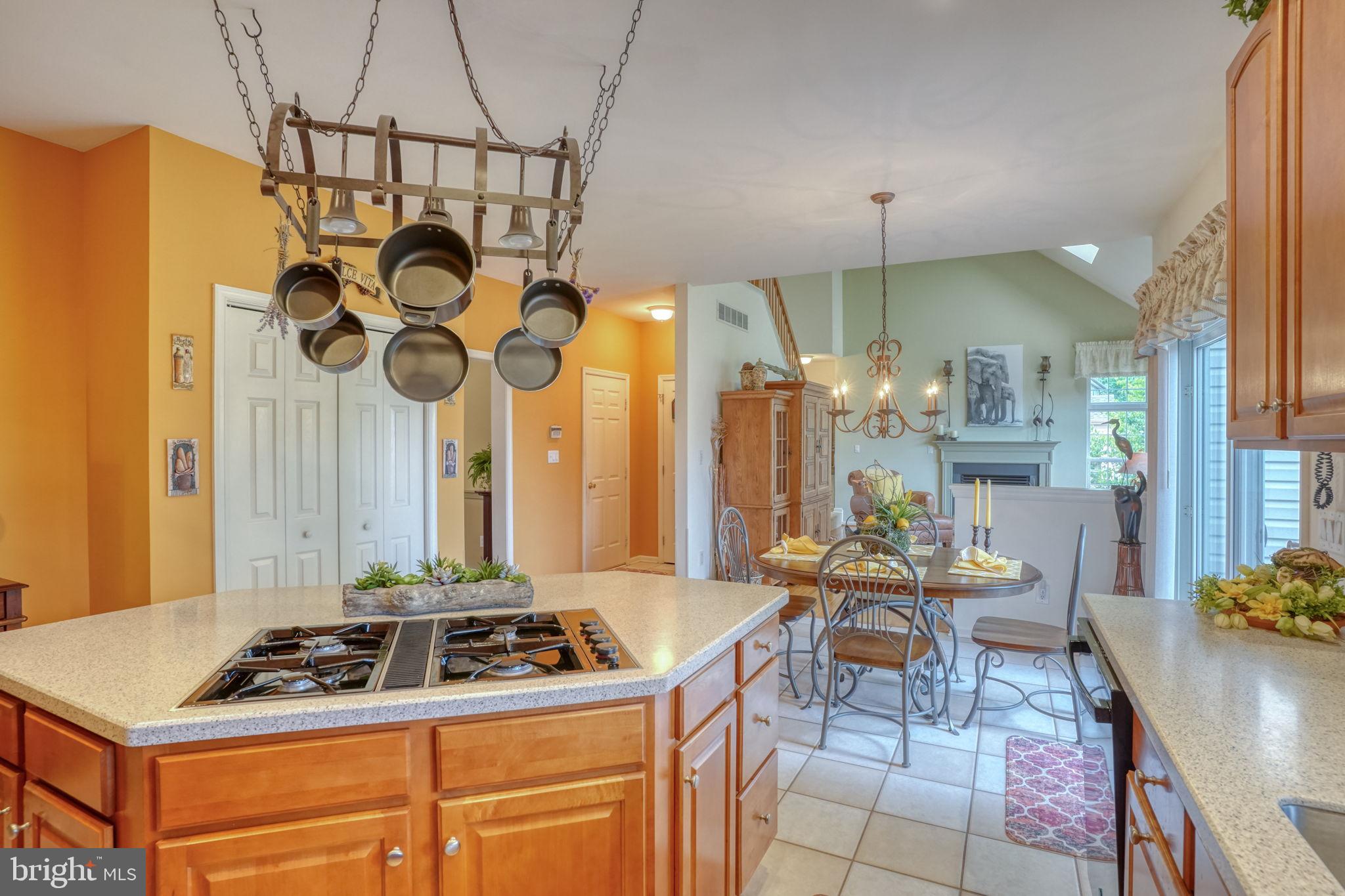PRESERVE AT LAFAYE - Residential