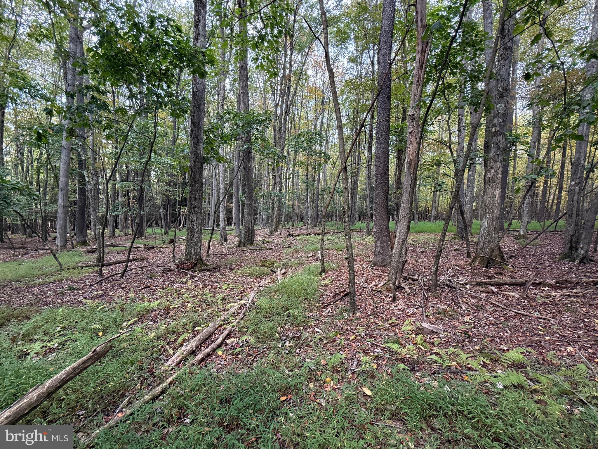 OAKLAND, MD – 3.318 UNRESTRICTED ACRES “READY TO BUILD” THAT VACATION HOME OR FULL TIME RESIDENCE. THE SUBJECT PROPERTY IS IN THE DEEP CREEK LAKE RESORT AREA. ALL AMENITIES ASSOCIATED WITH A MAJOR RESORT AREA ARE WITHIN A SHORT DRIVE OF THE SUBJECT PROPERTY.  FULLY WOODED. MATURE HARDWOOD THRU-OUT. LEVEL TOPOGRAPHY.   CLOSE PROXIMITY TO BOAT LAUNCH.